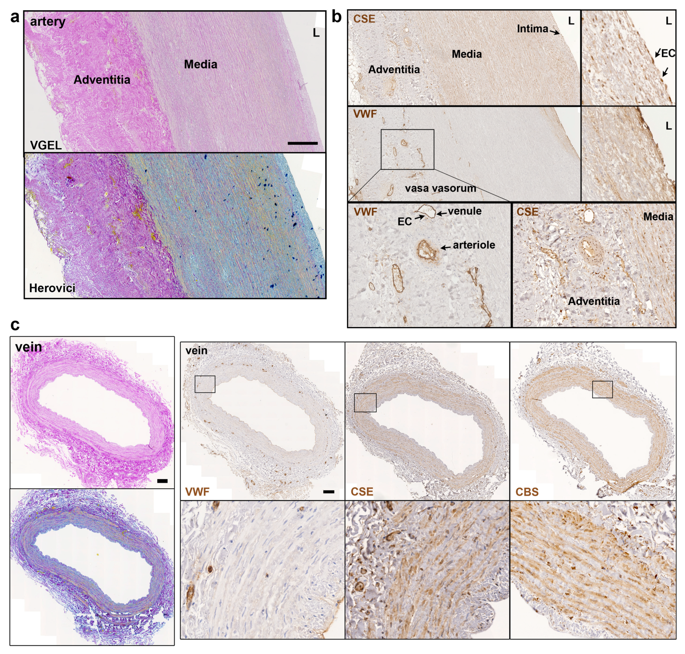 Preprints 79339 g002