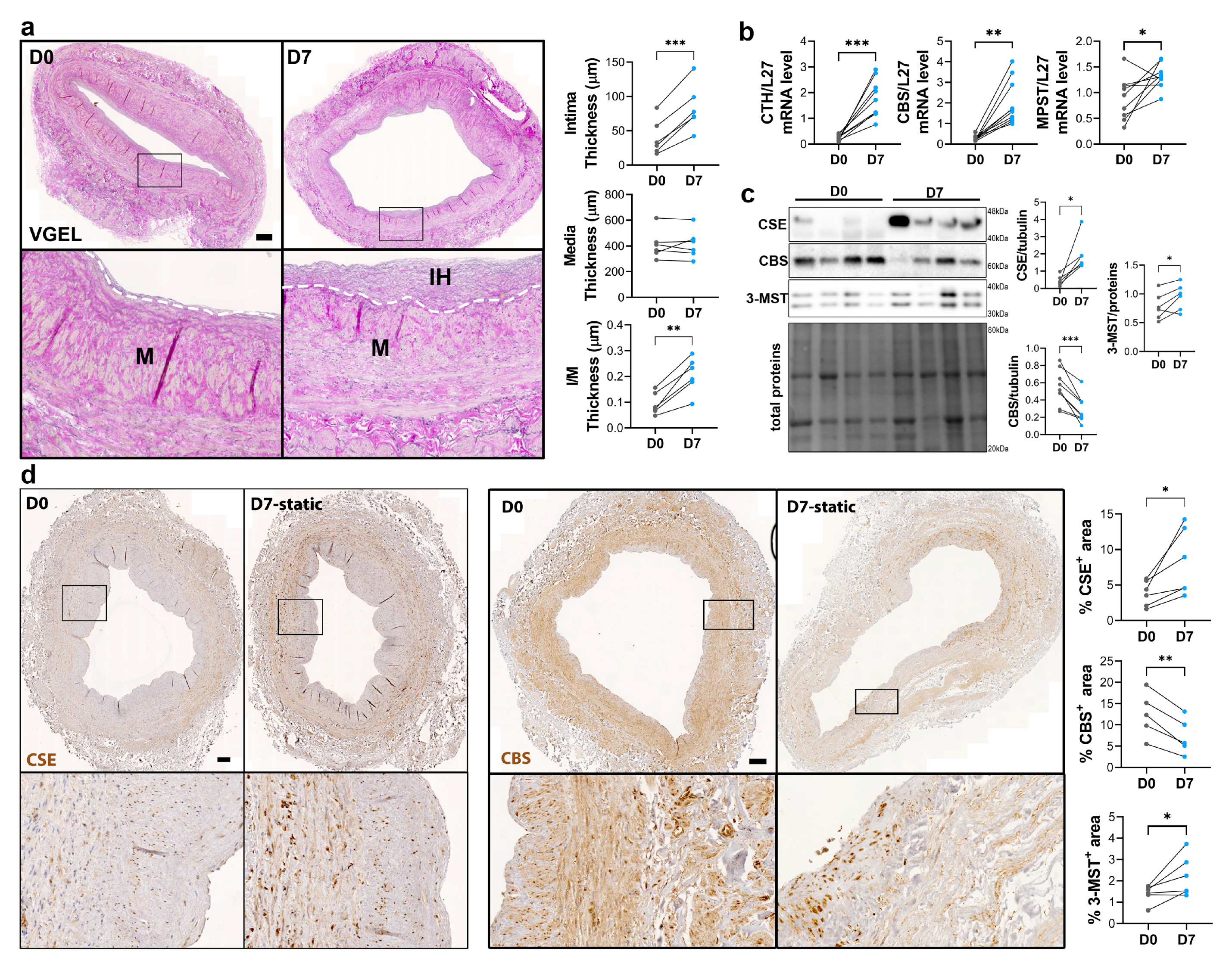 Preprints 79339 g003