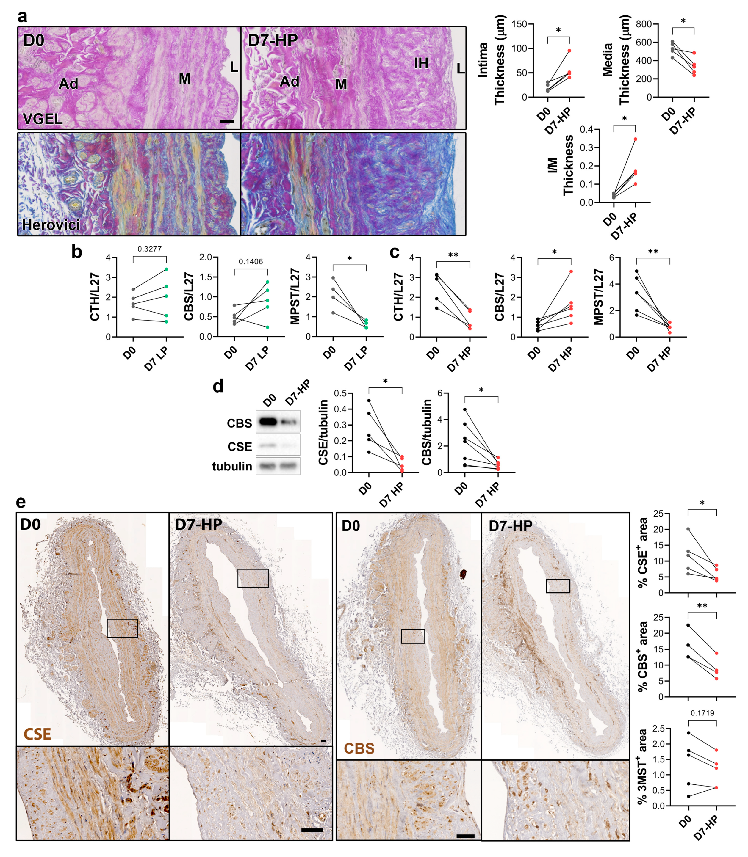 Preprints 79339 g004