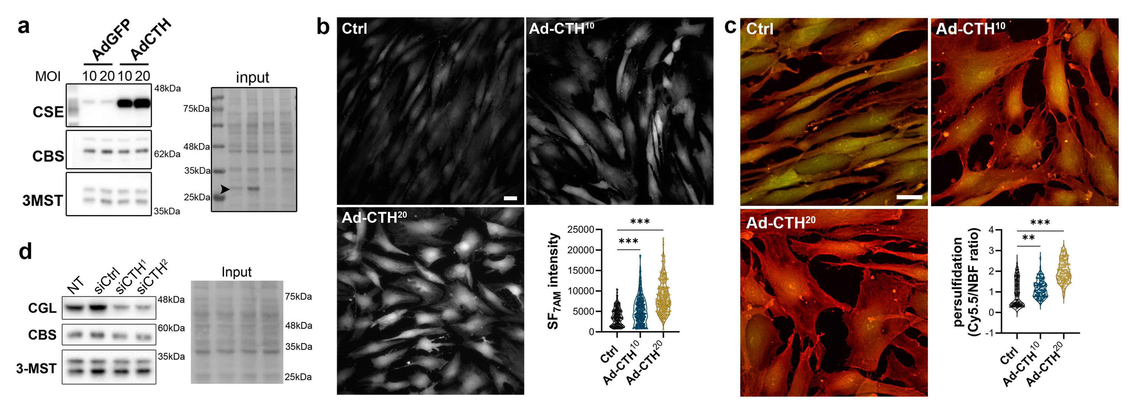 Preprints 79339 g005