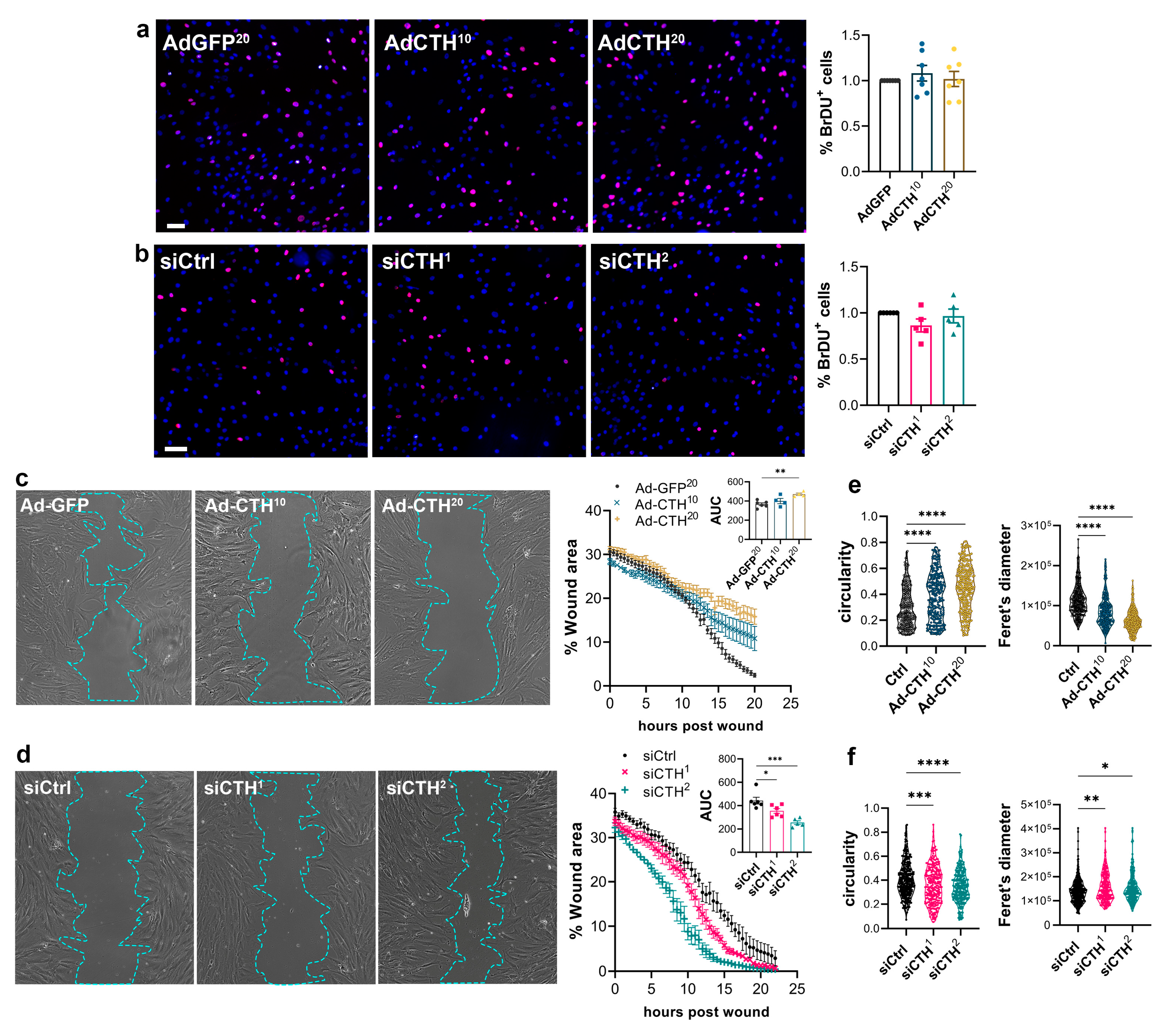 Preprints 79339 g006