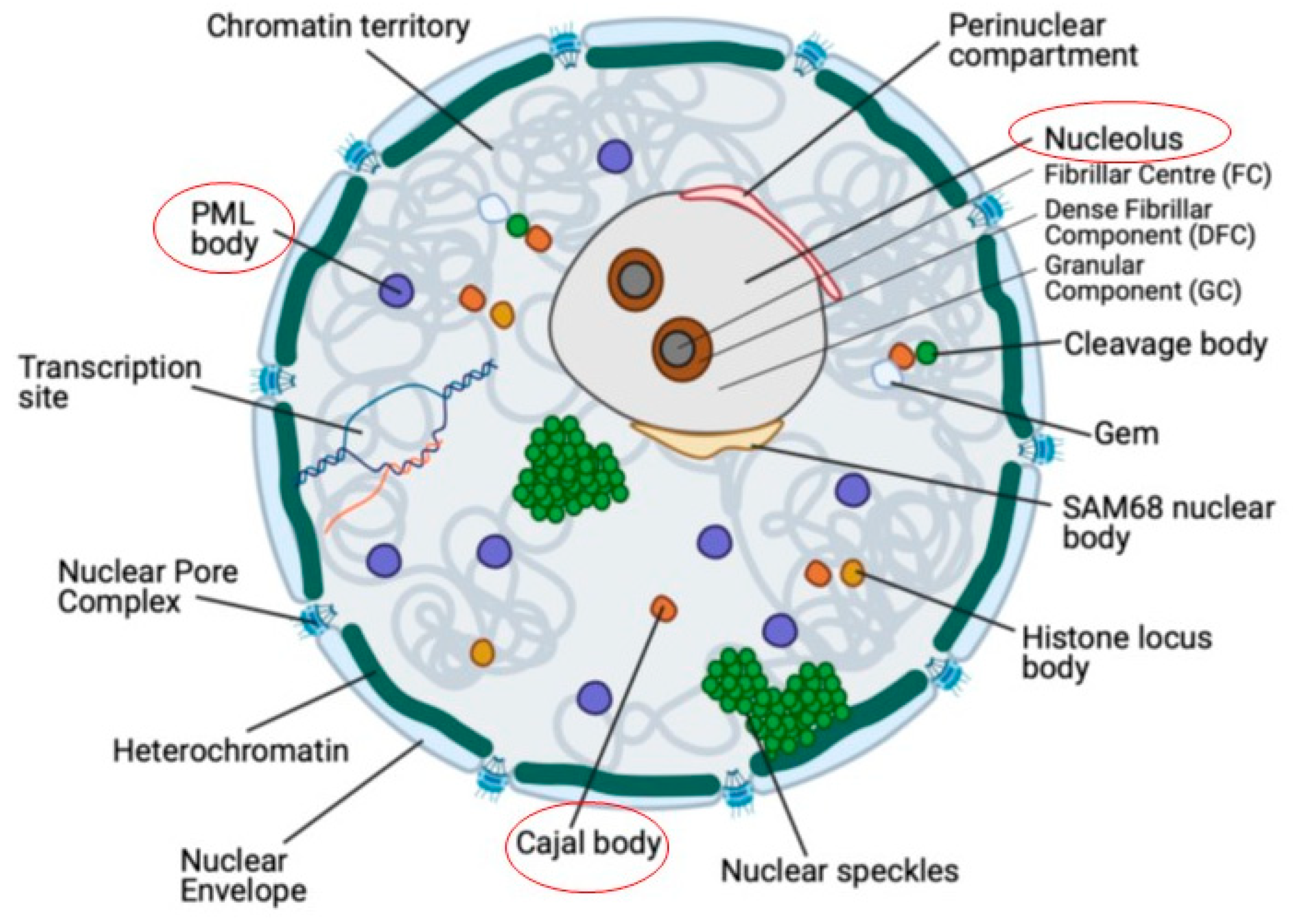 Preprints 88064 g001