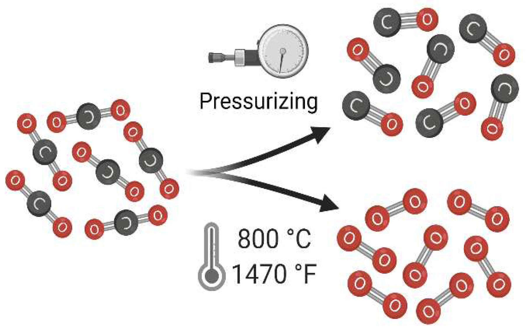 Preprints 67174 g001