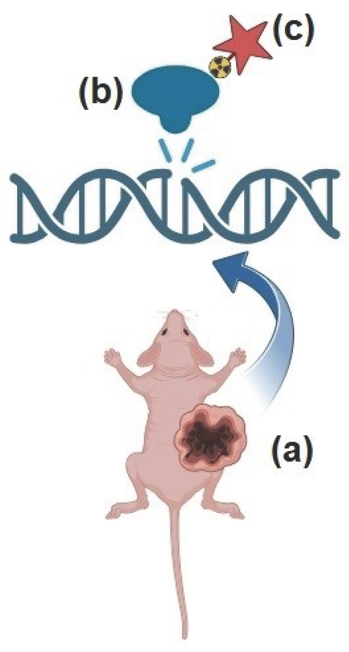 Preprints 100990 g002