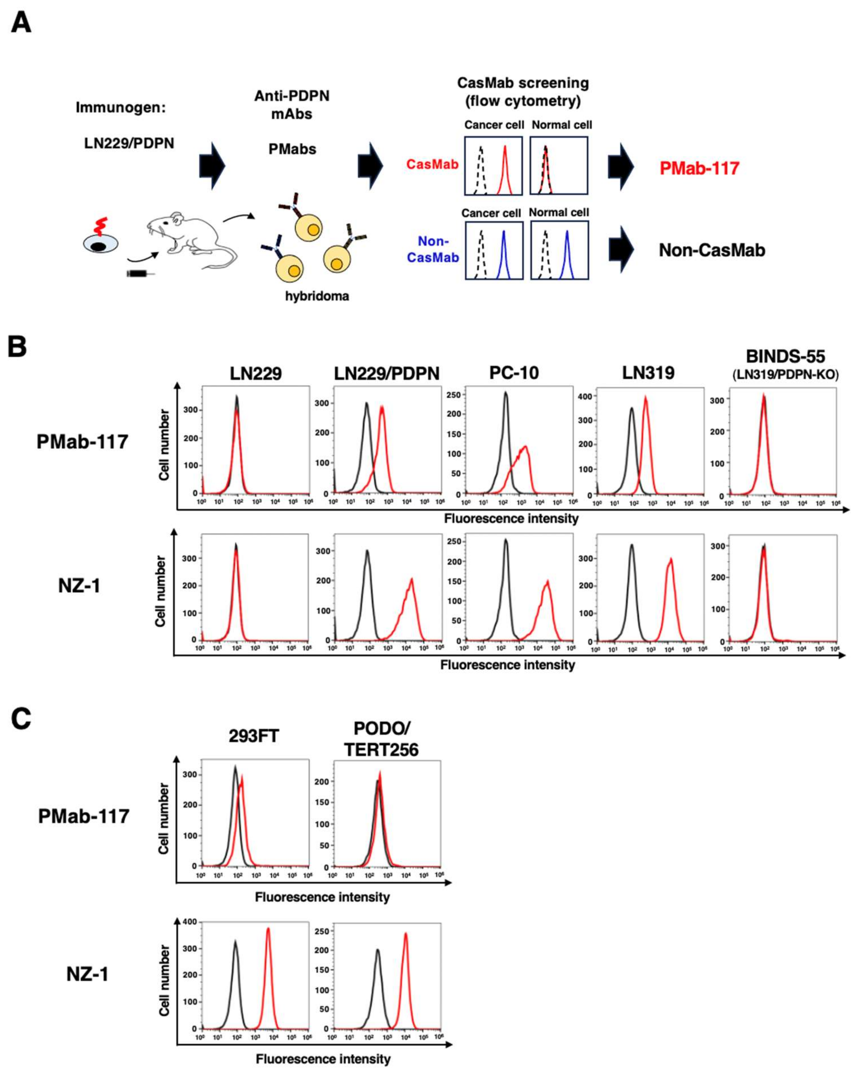 Preprints 120369 g001