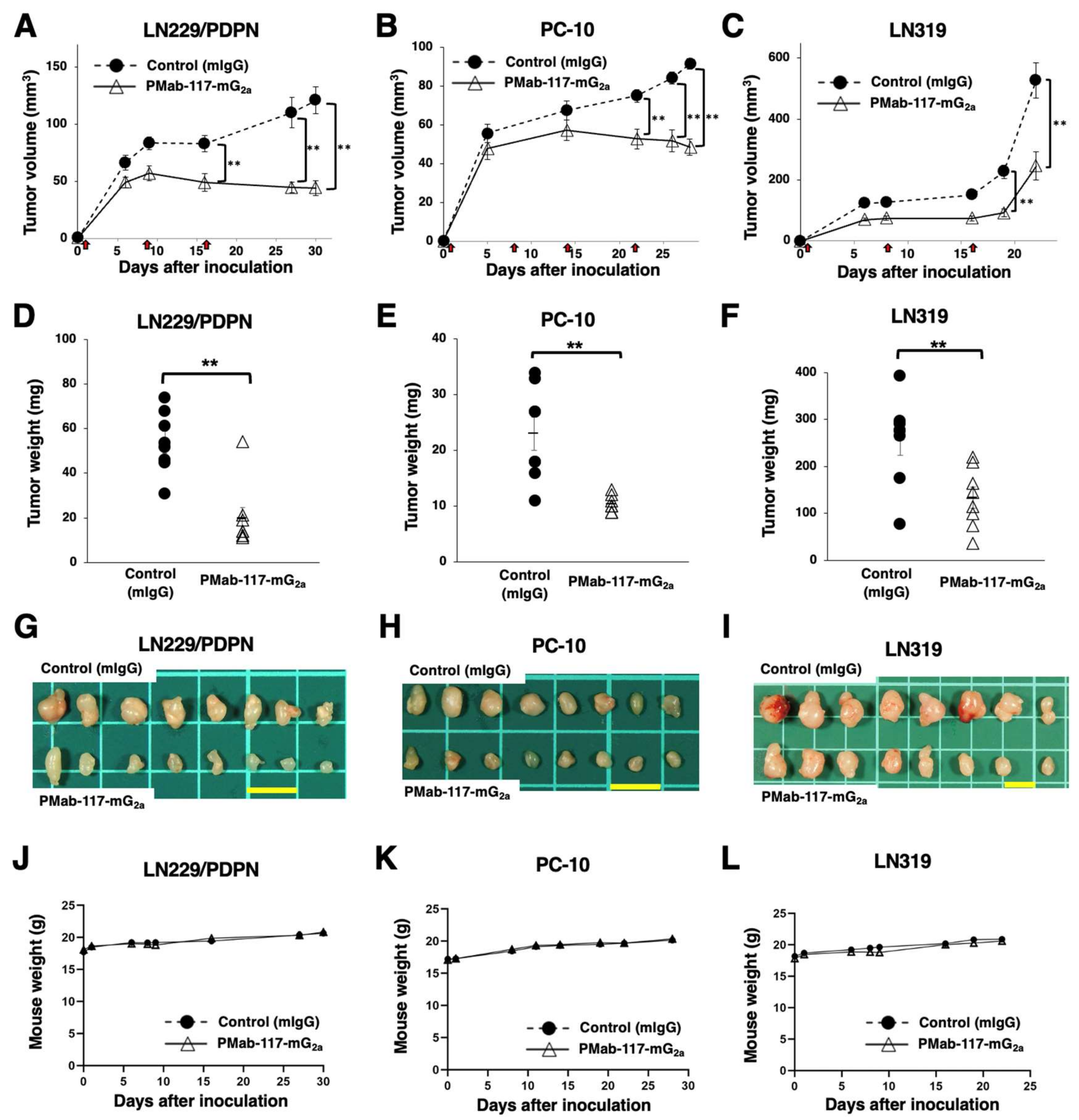 Preprints 120369 g005