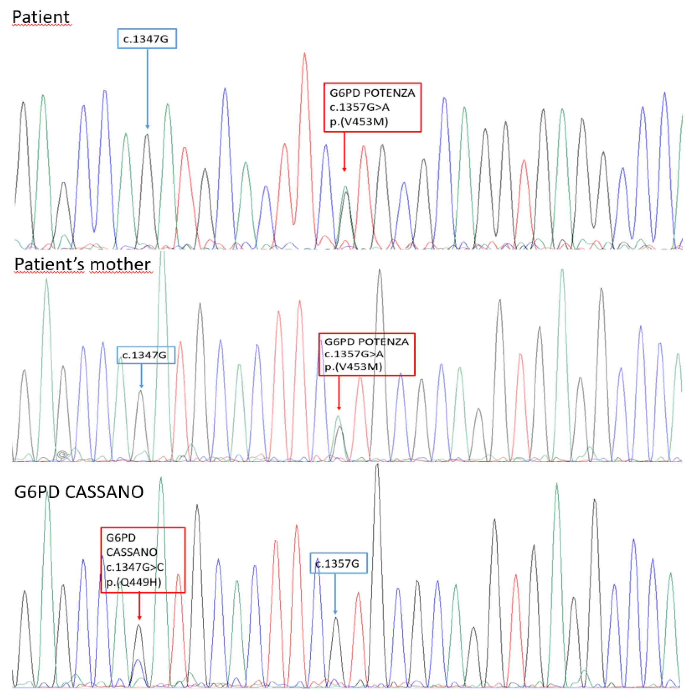 Preprints 117330 g001