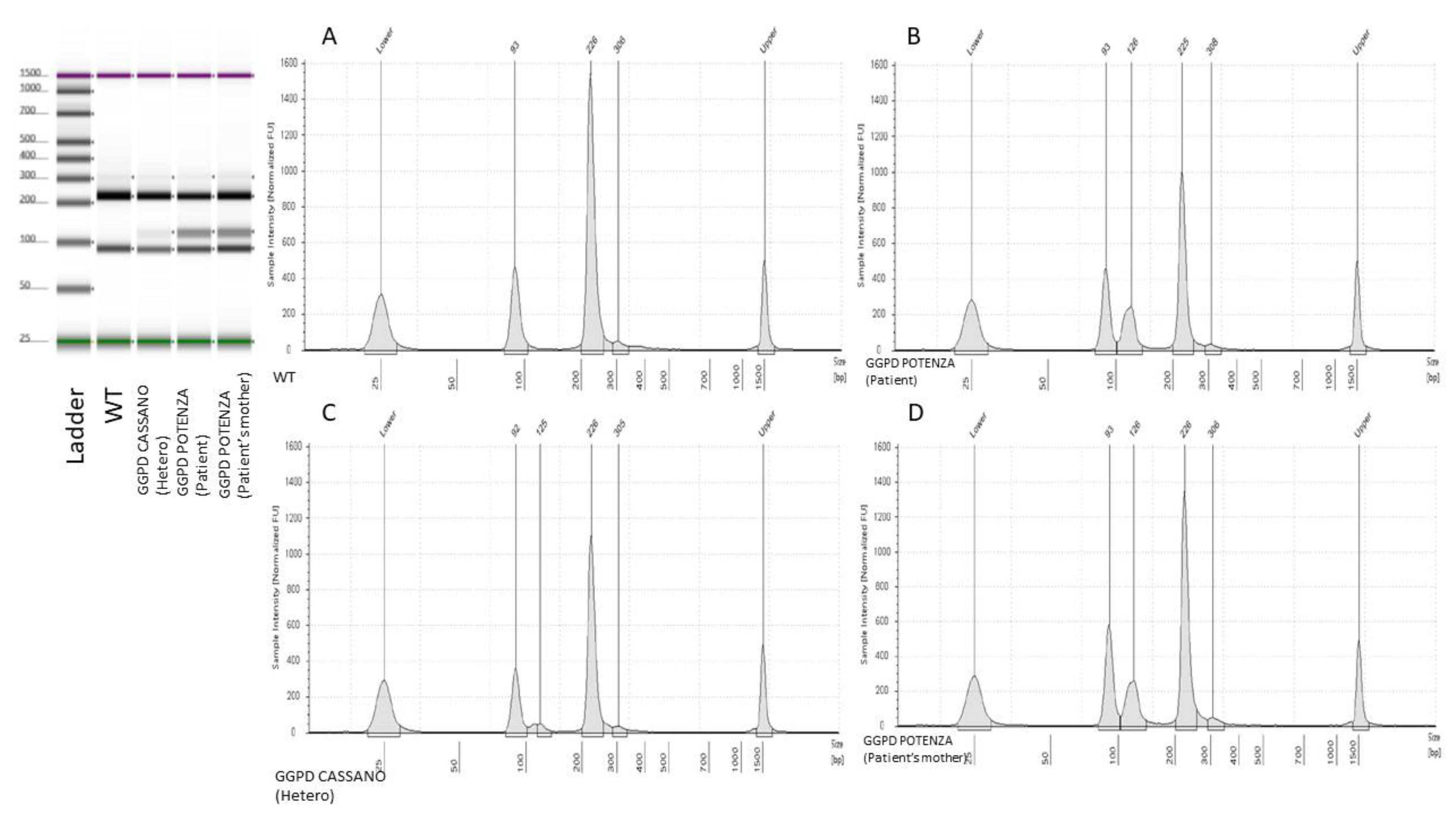 Preprints 117330 g002