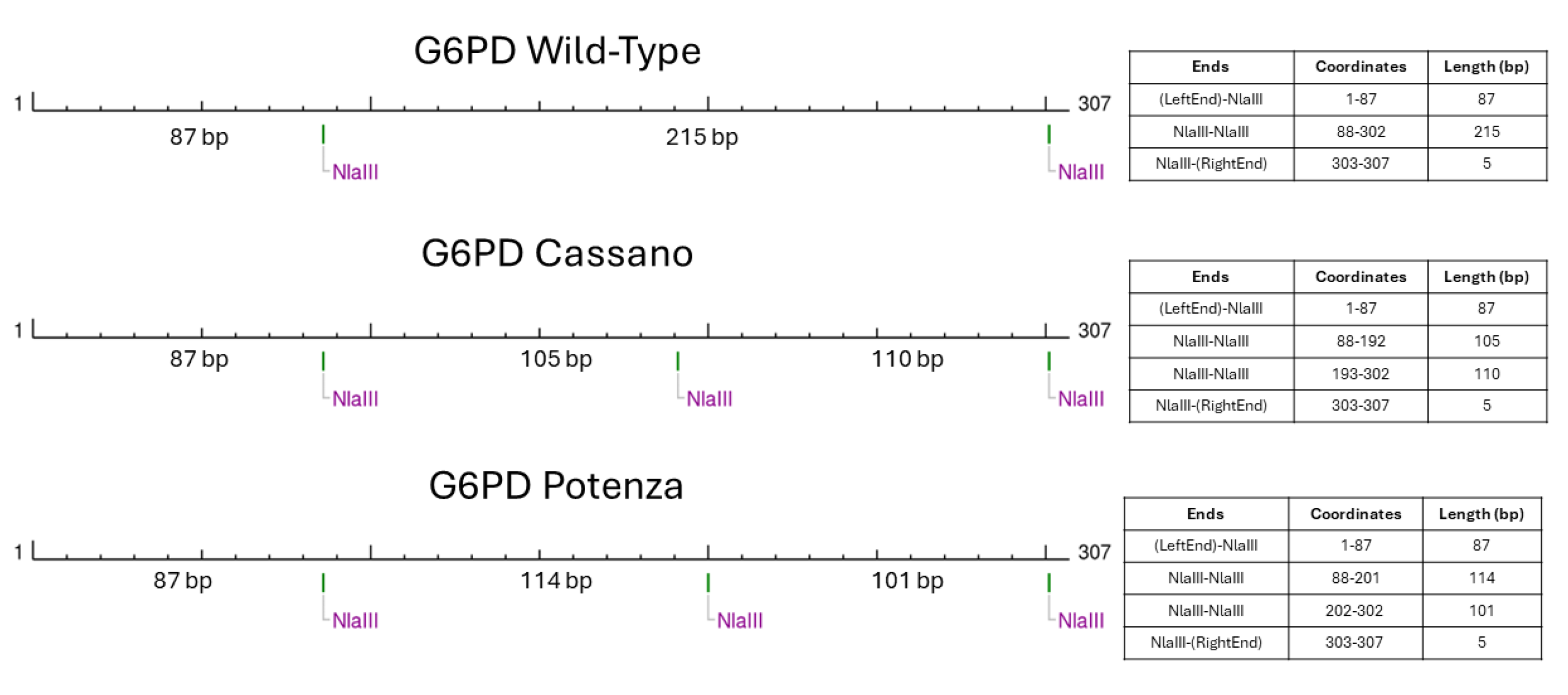 Preprints 117330 g003