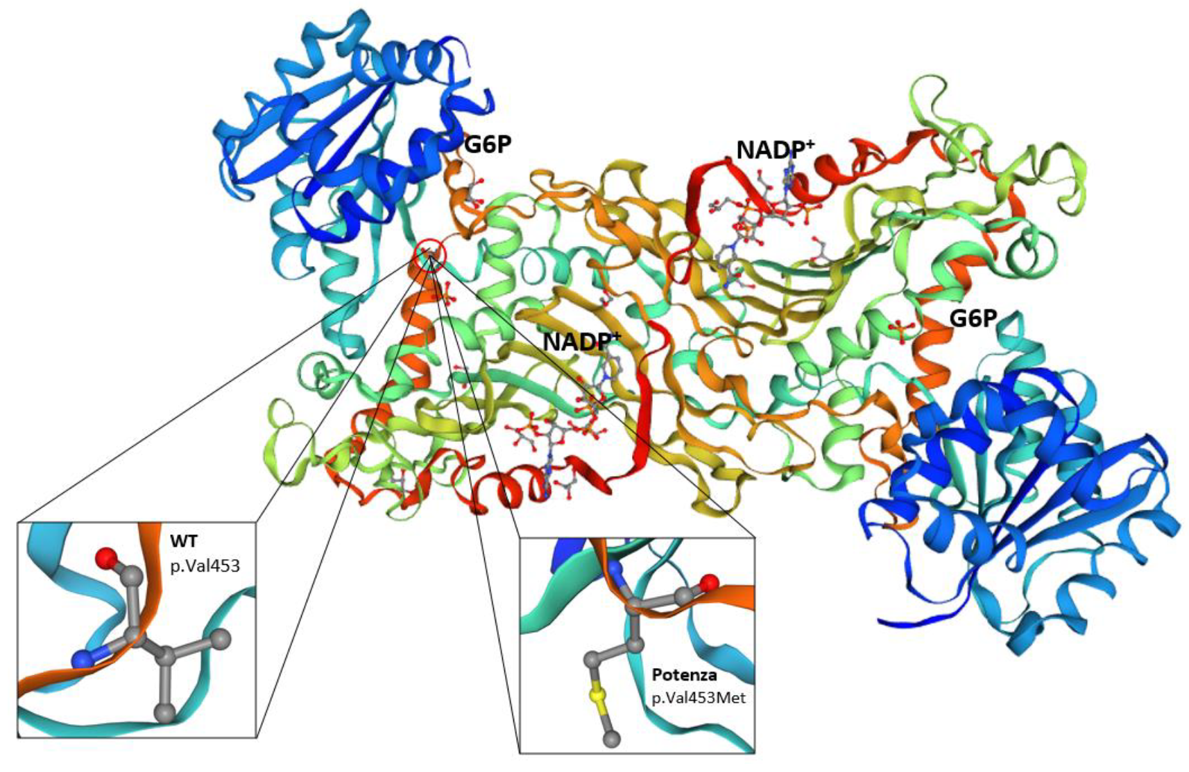 Preprints 117330 g004a