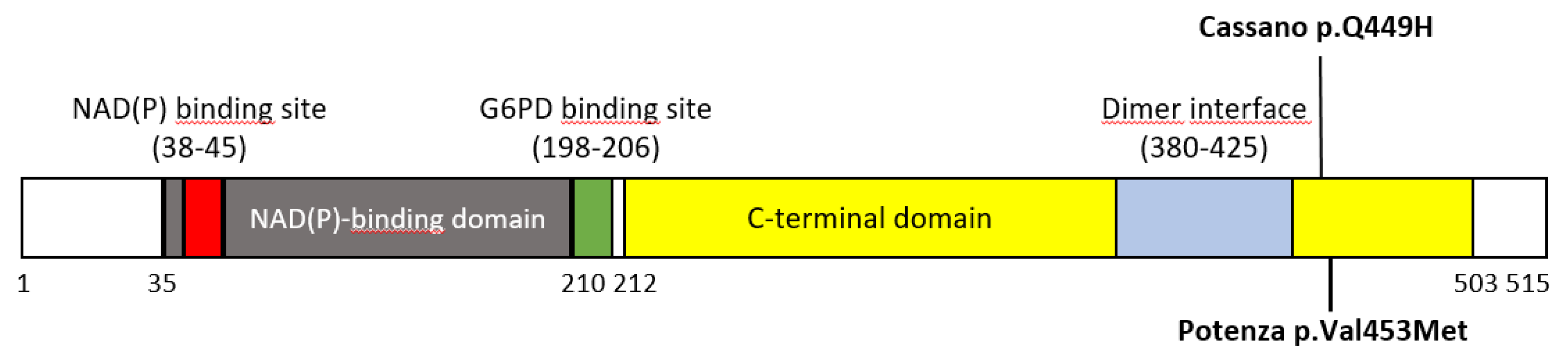 Preprints 117330 g004b