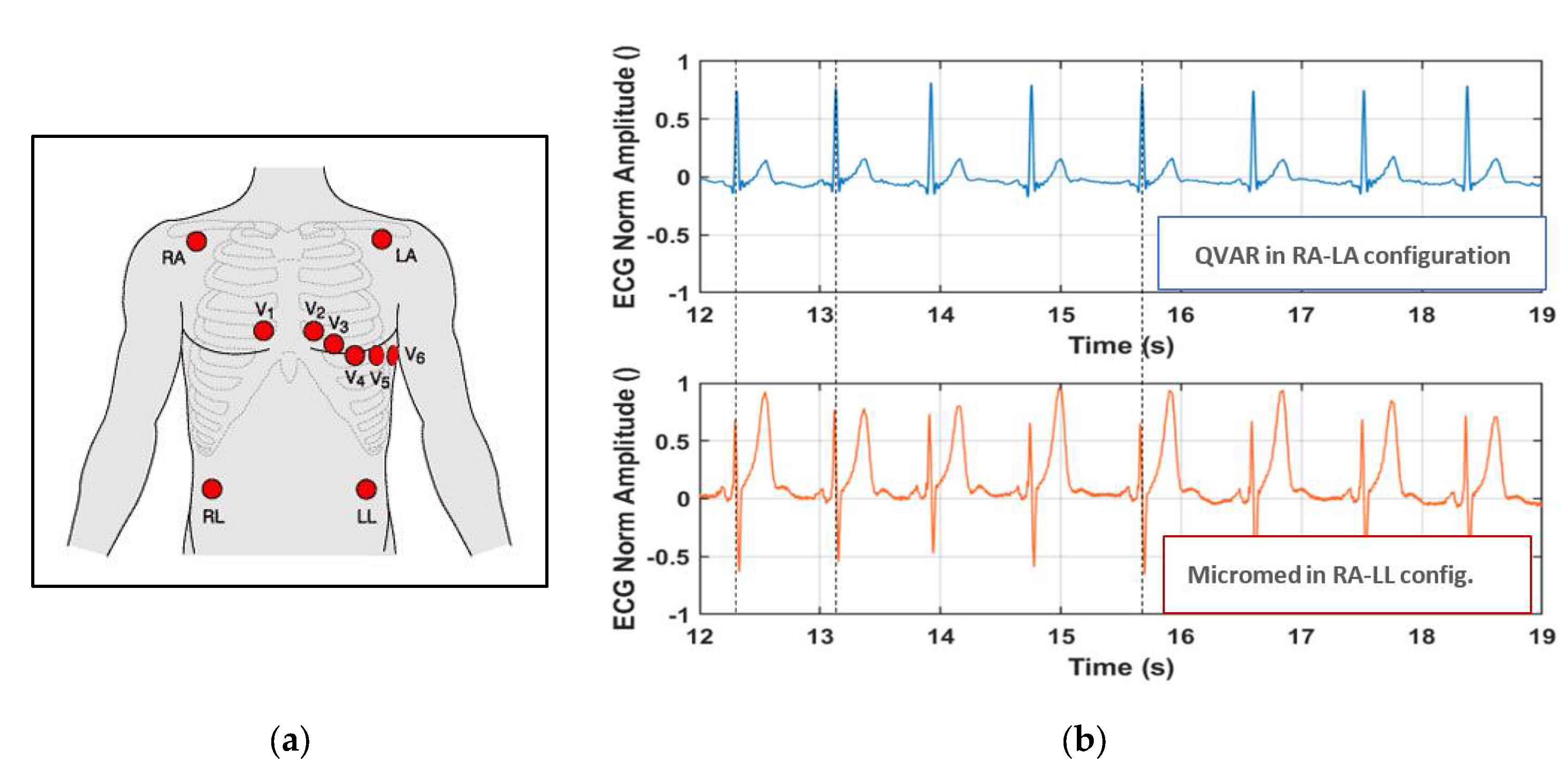 Preprints 98218 g002