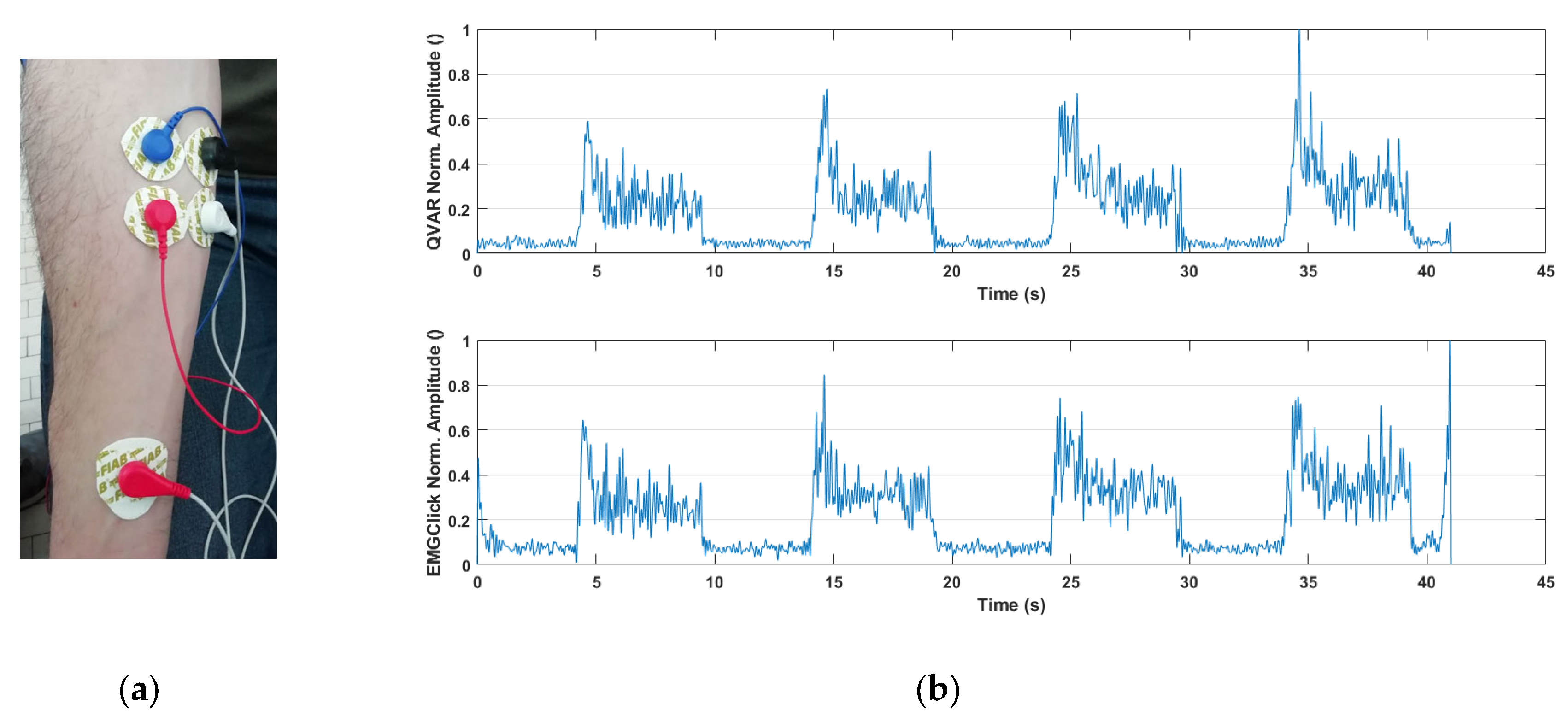 Preprints 98218 g005