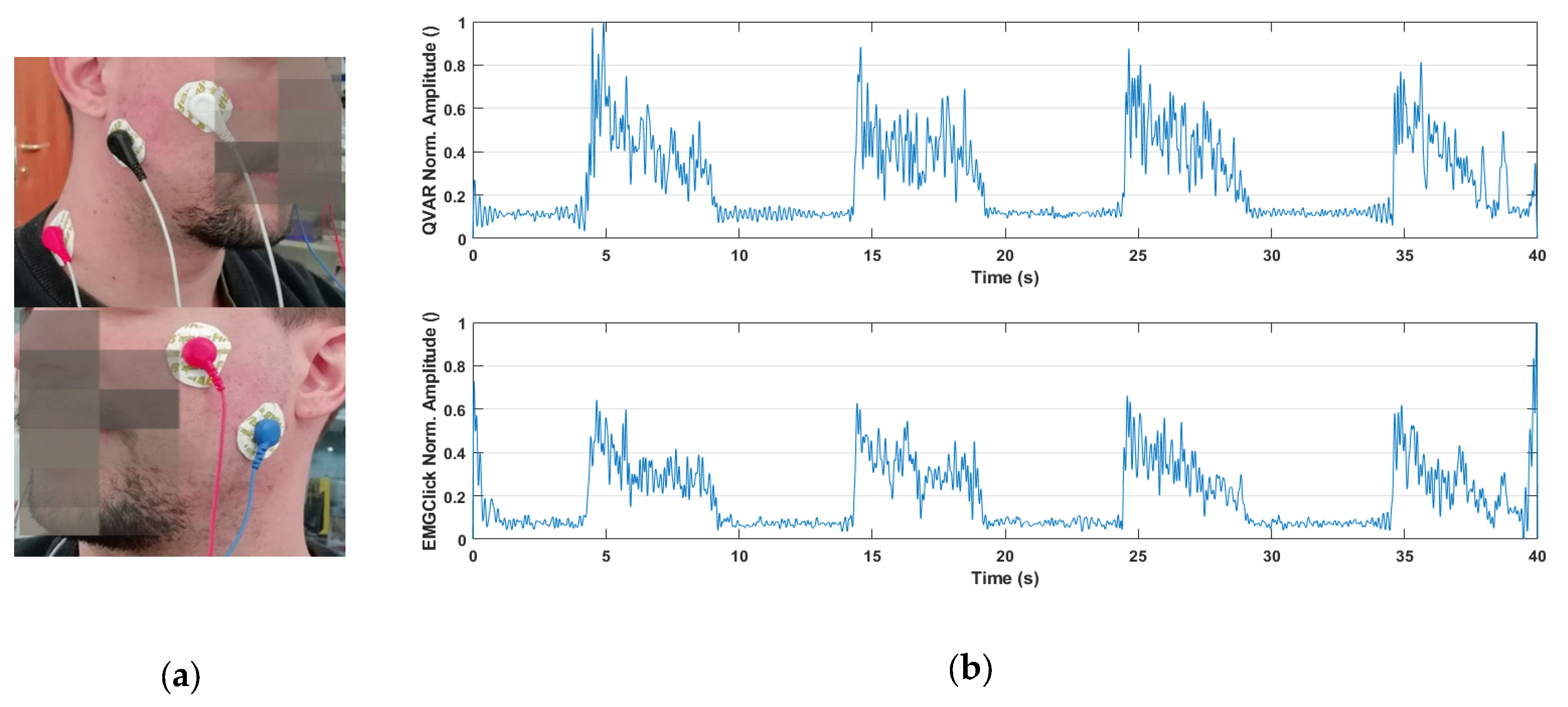 Preprints 98218 g006