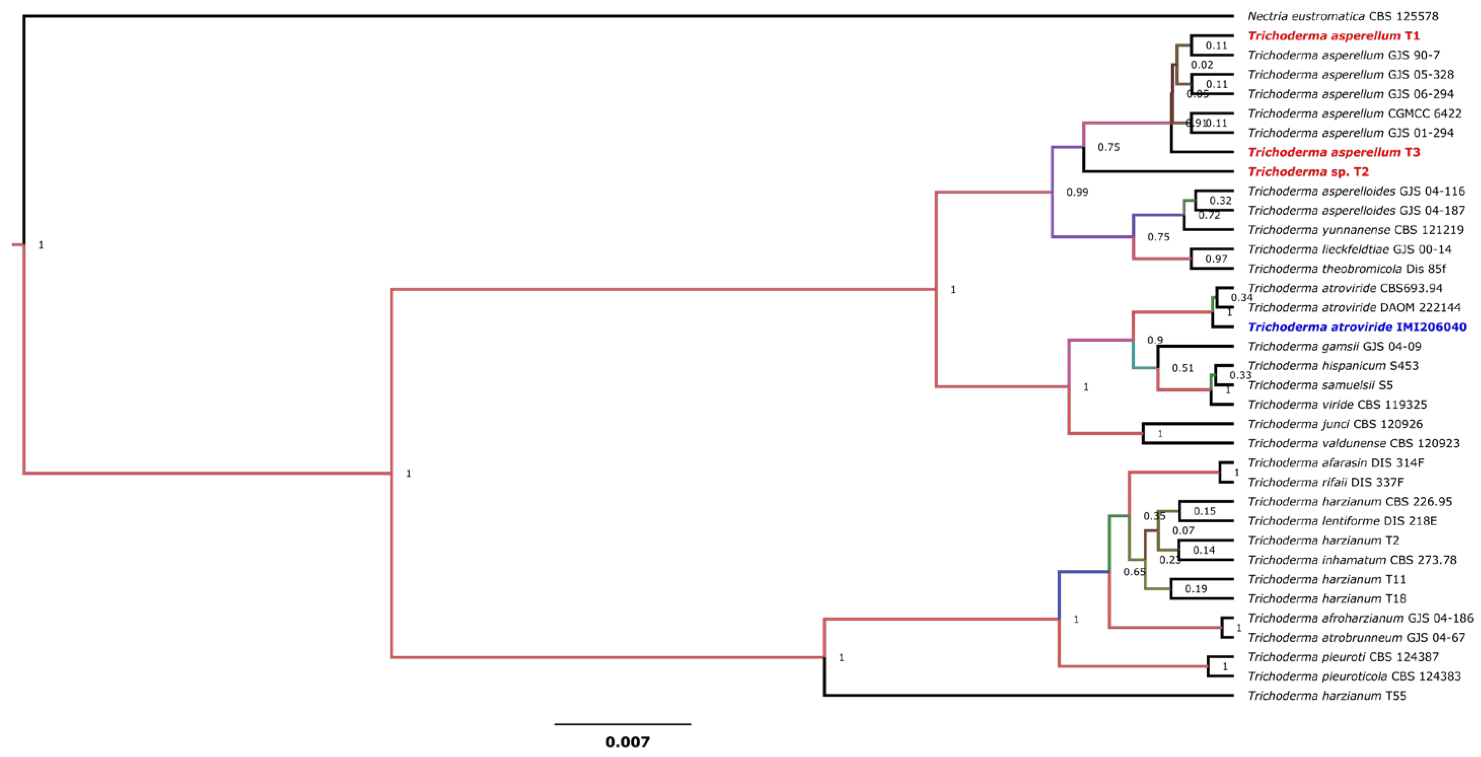 Preprints 116257 g001