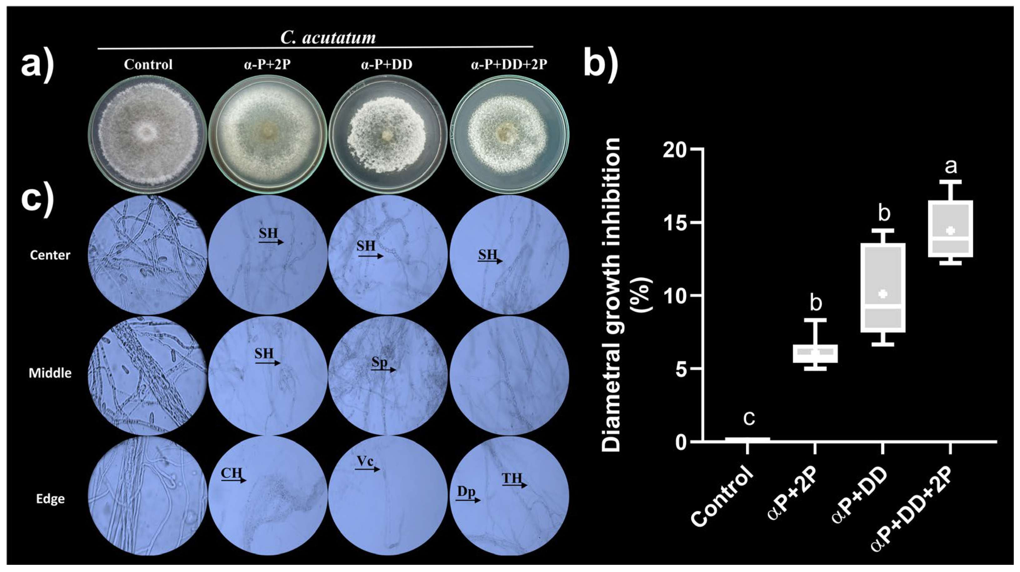 Preprints 116257 g005