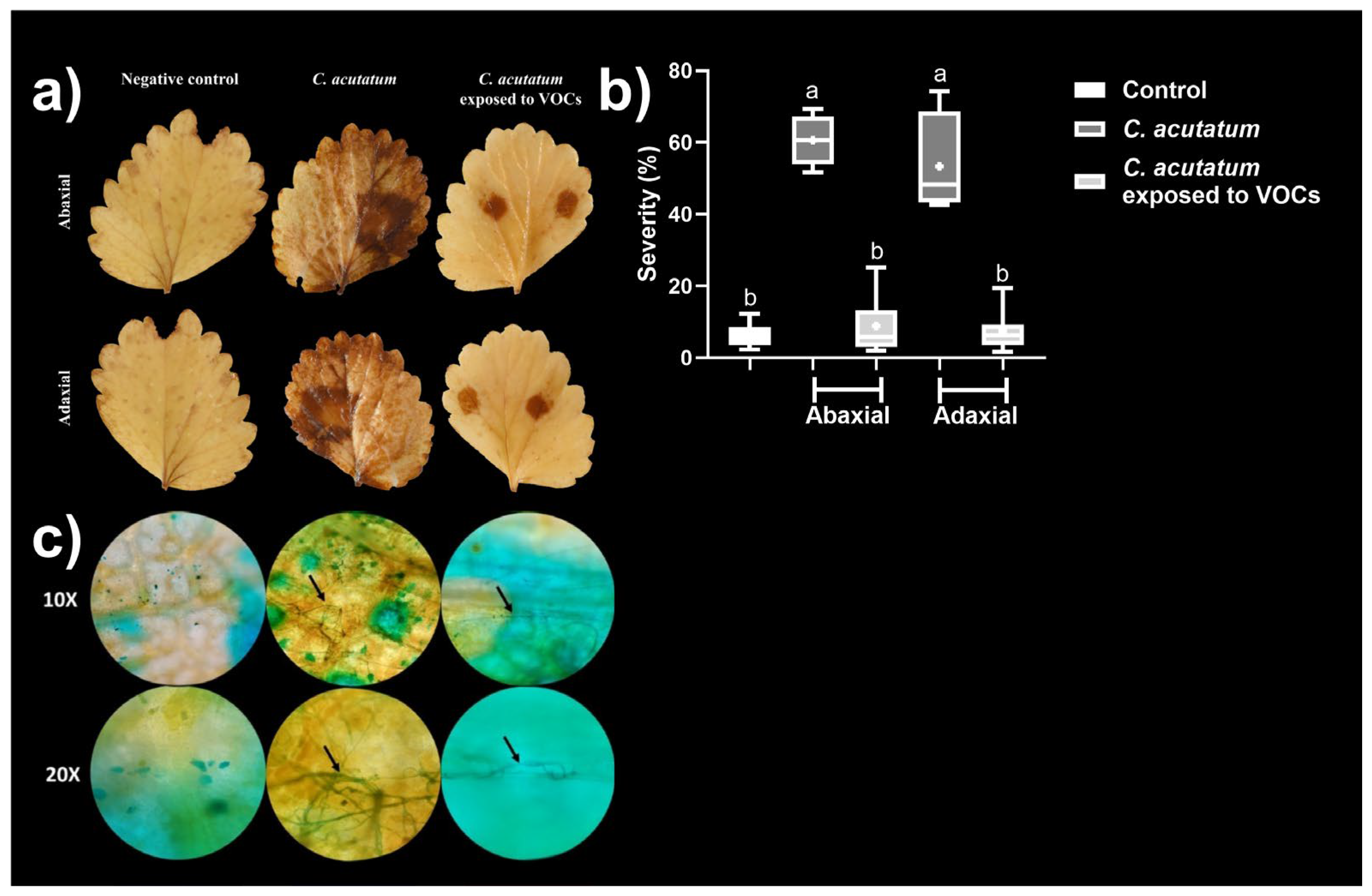 Preprints 116257 g006