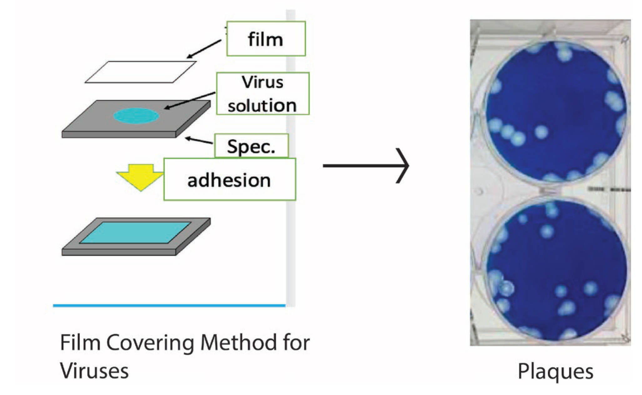 Preprints 103430 g004