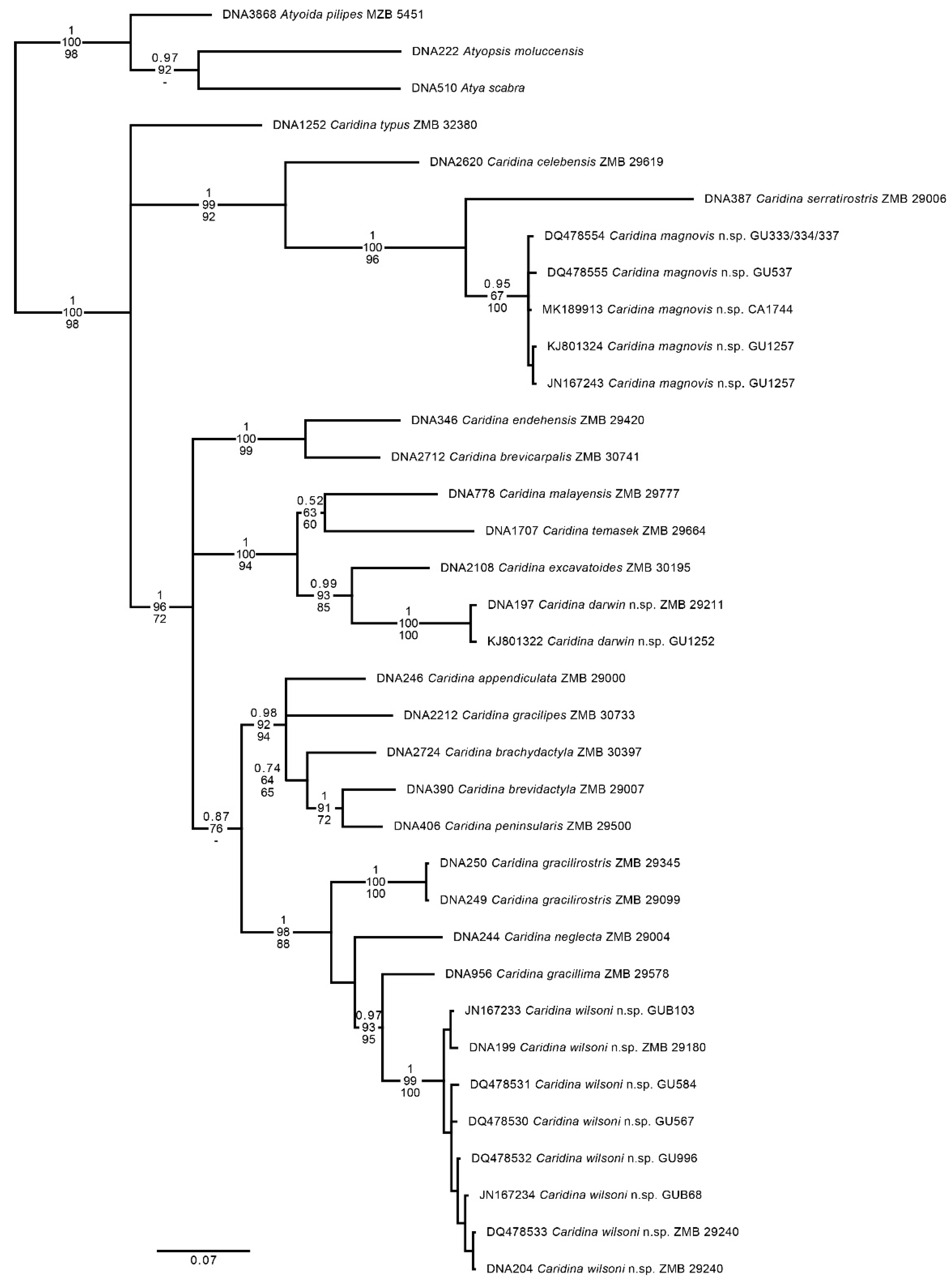 Preprints 95779 g007