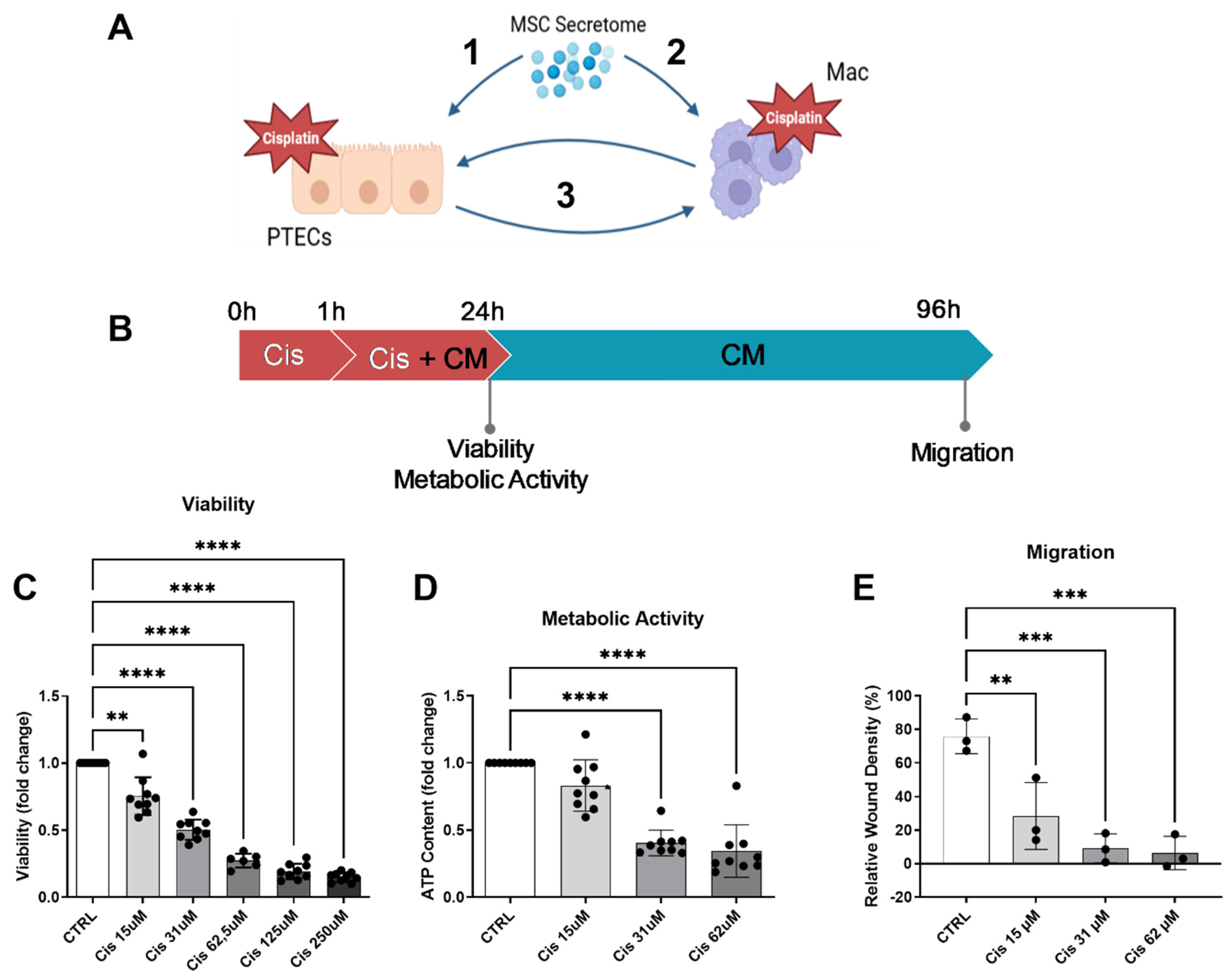 Preprints 92556 g001