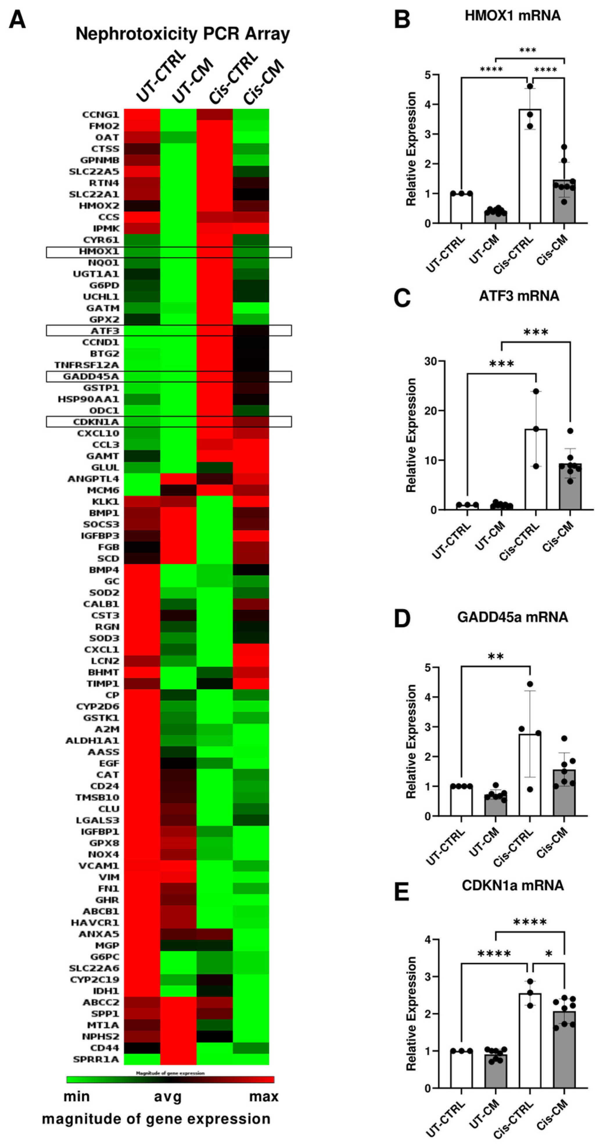 Preprints 92556 g003