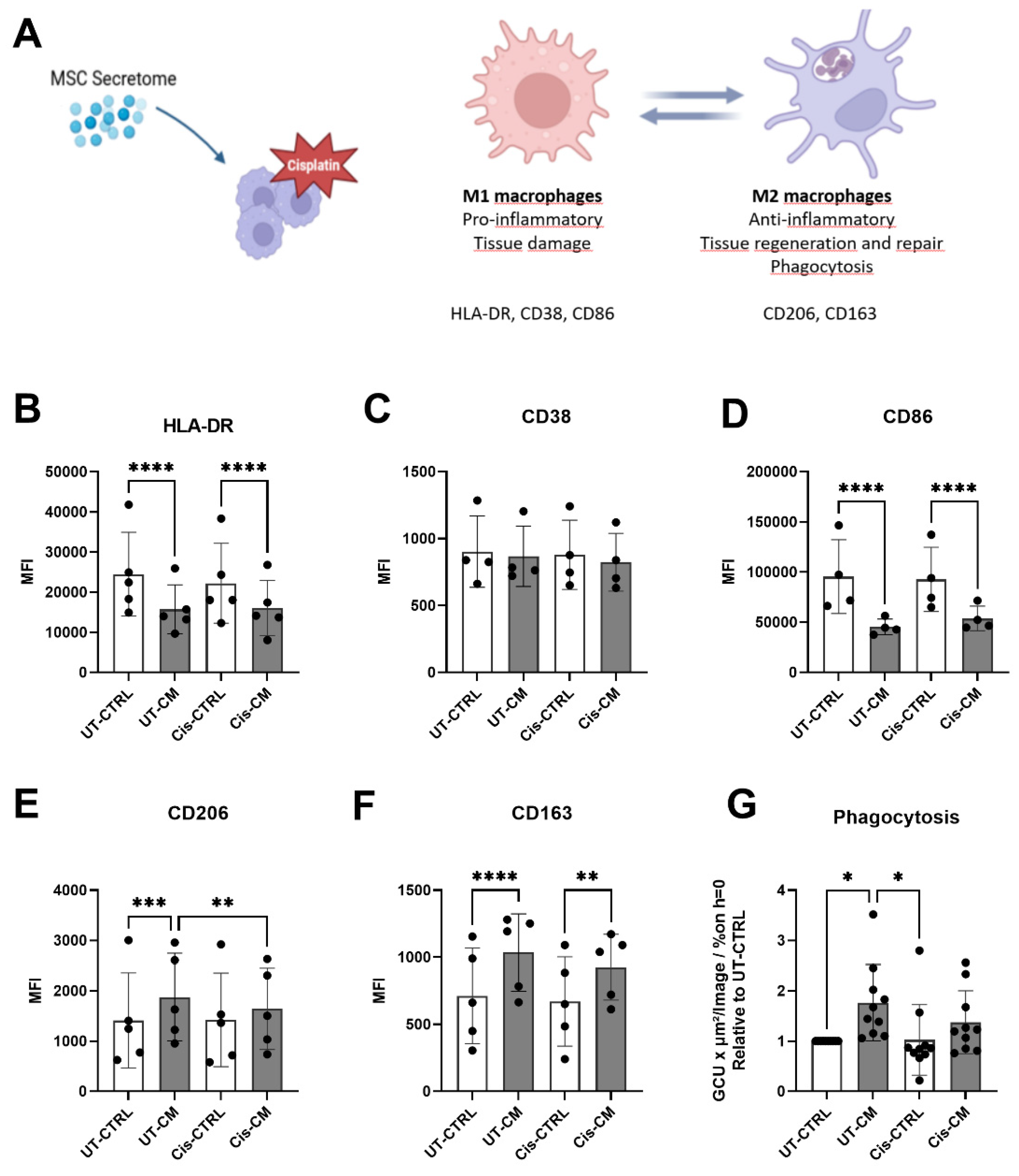 Preprints 92556 g005