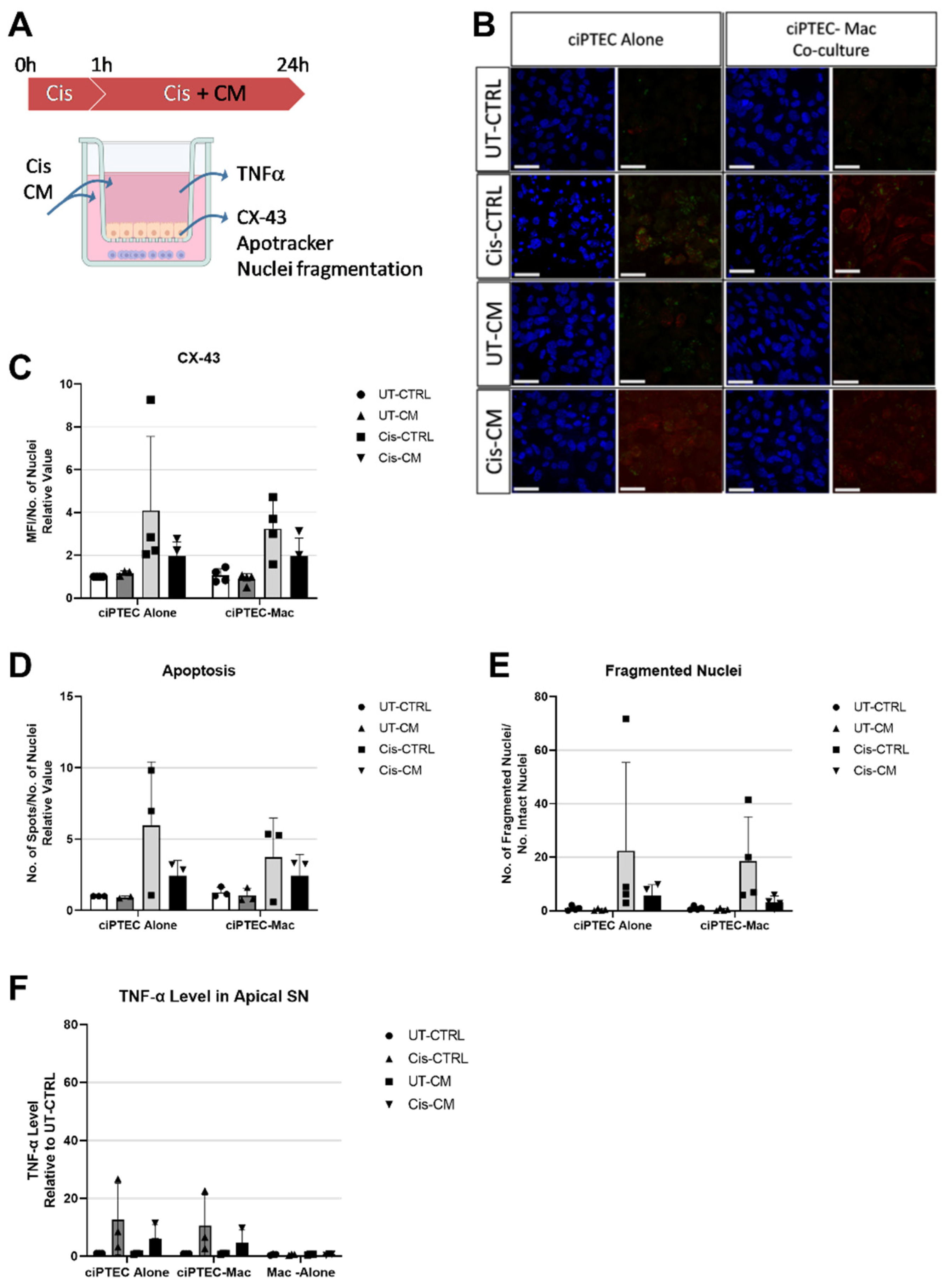 Preprints 92556 g006