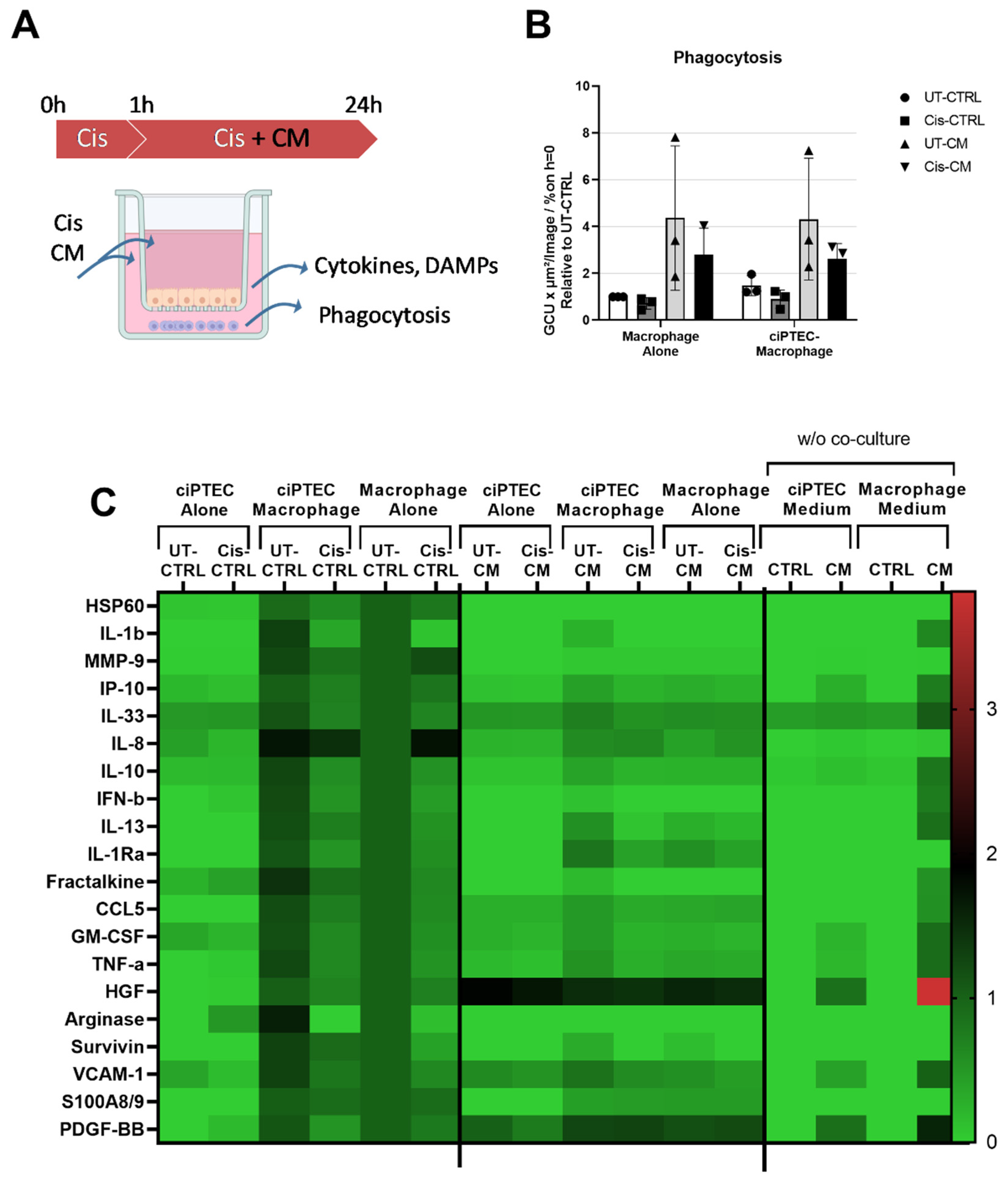 Preprints 92556 g007