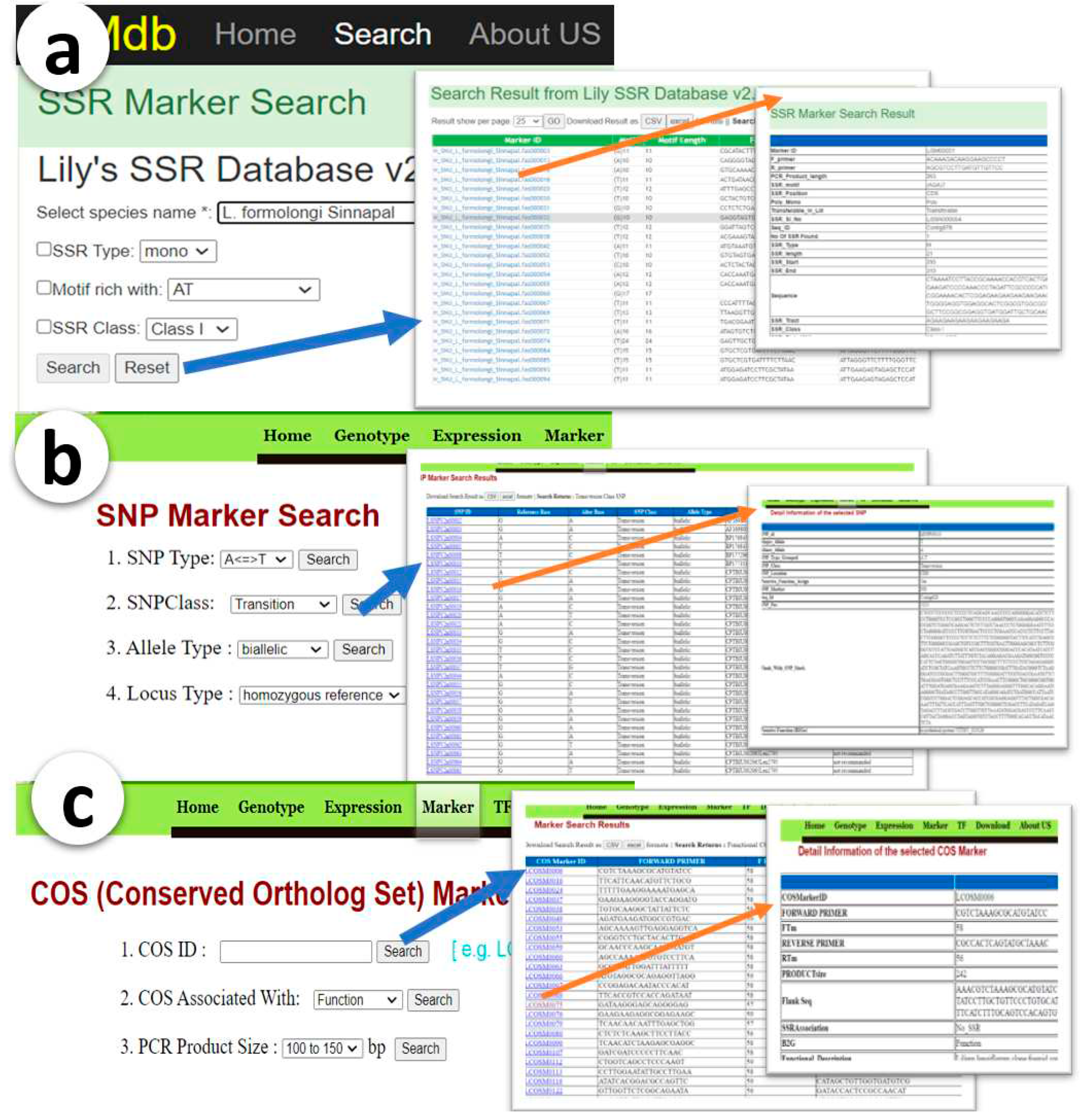 Preprints 86649 g001