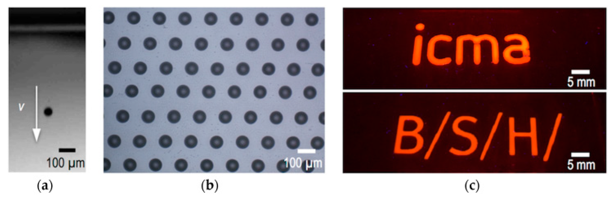 Preprints 79045 g003