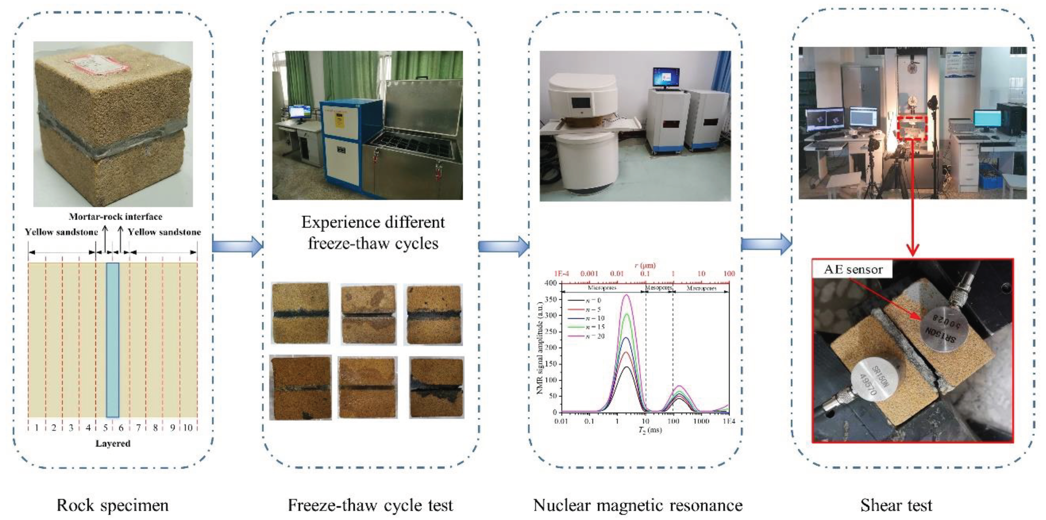 Preprints 102768 g005