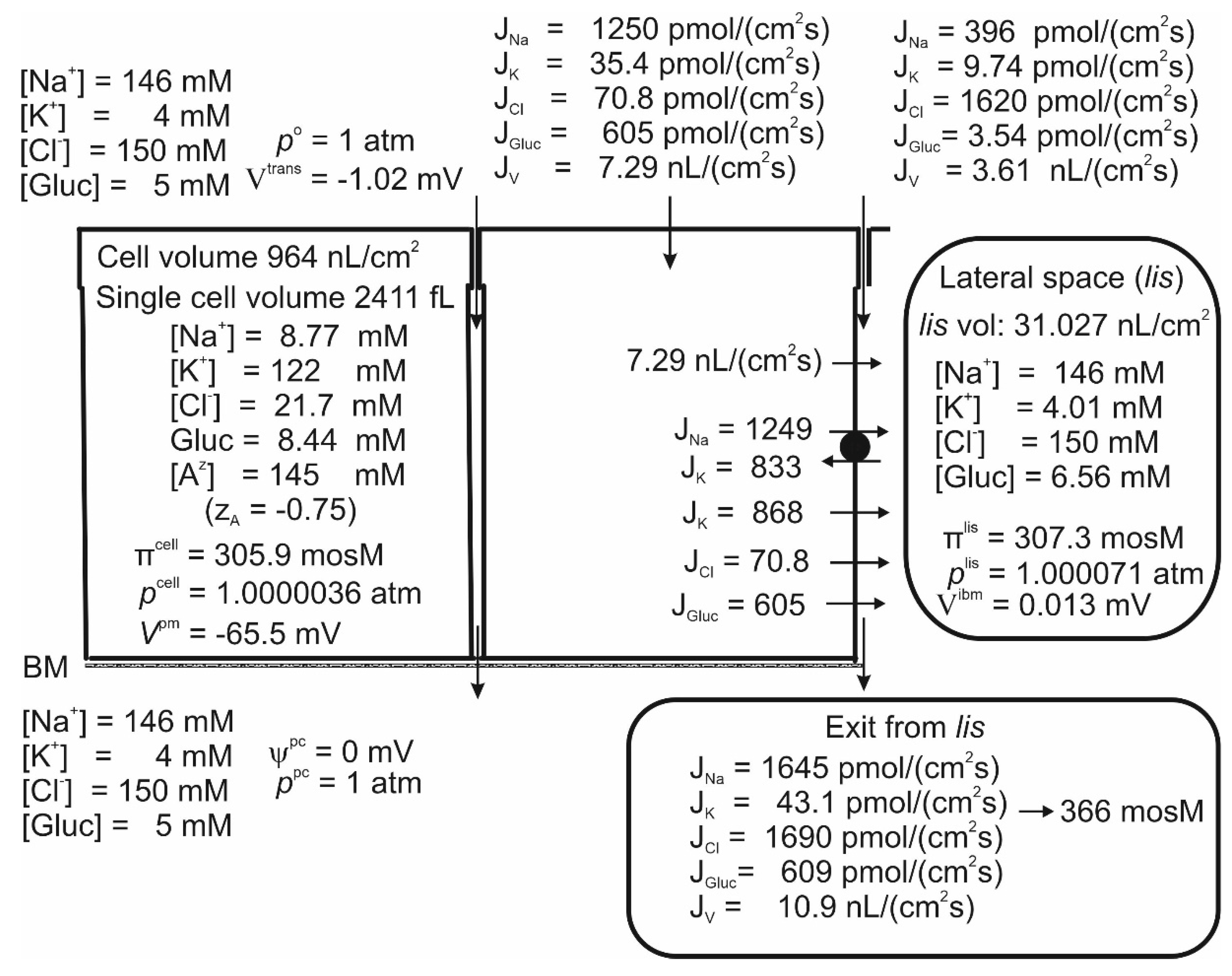 Preprints 110251 g005