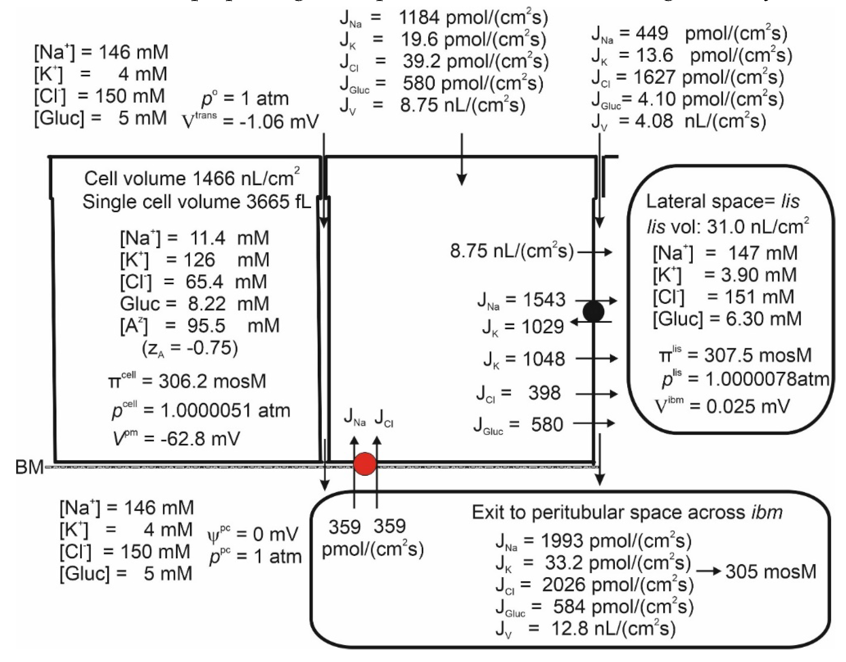 Preprints 110251 g008