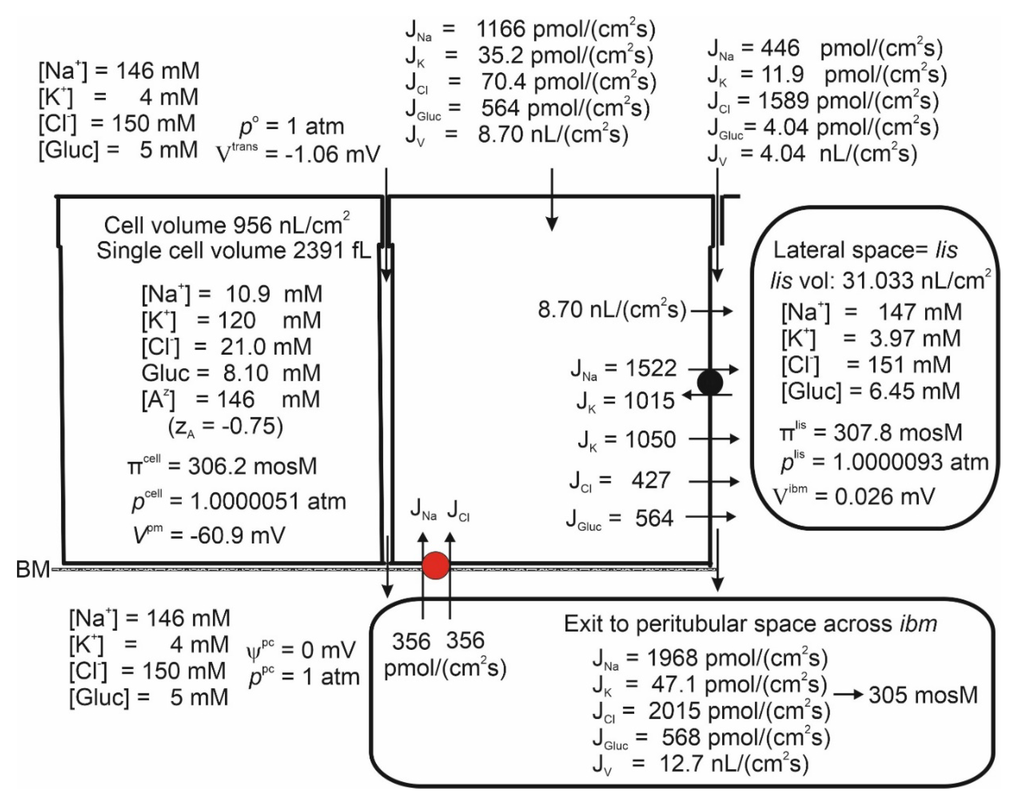 Preprints 110251 g009