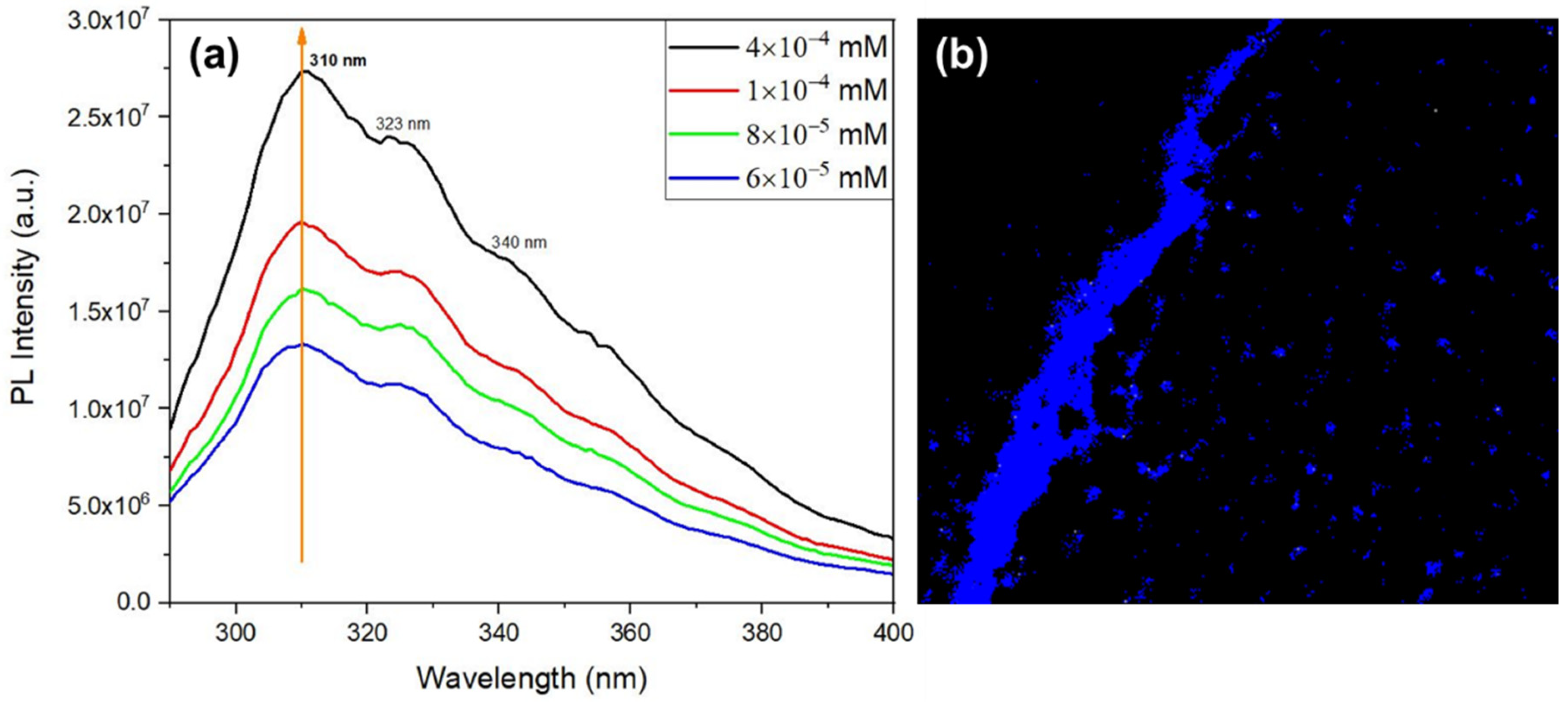 Preprints 68908 g012