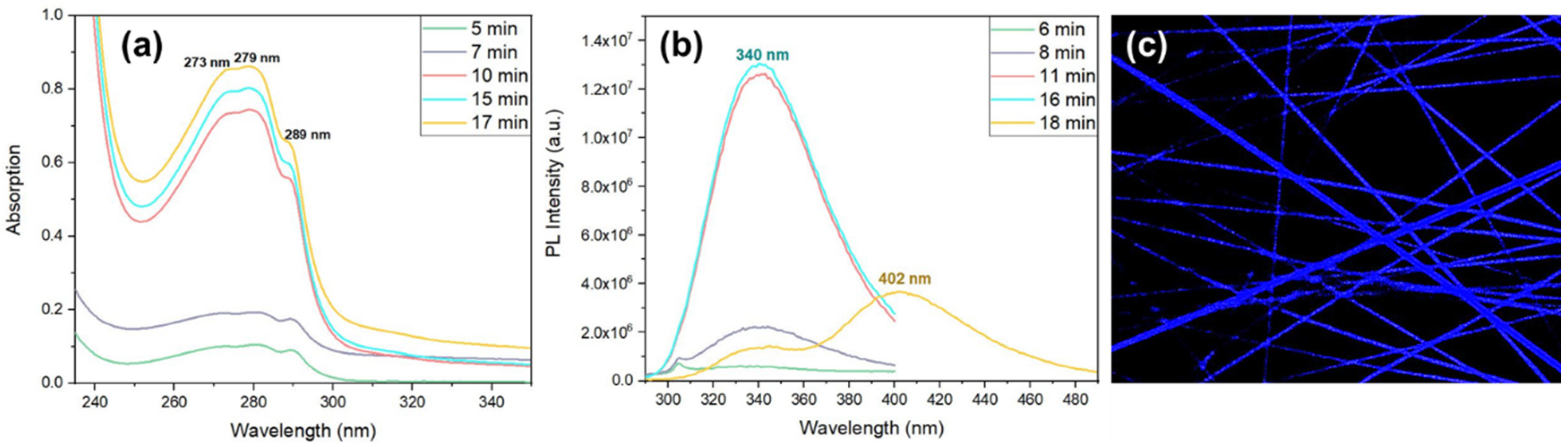 Preprints 68908 g013