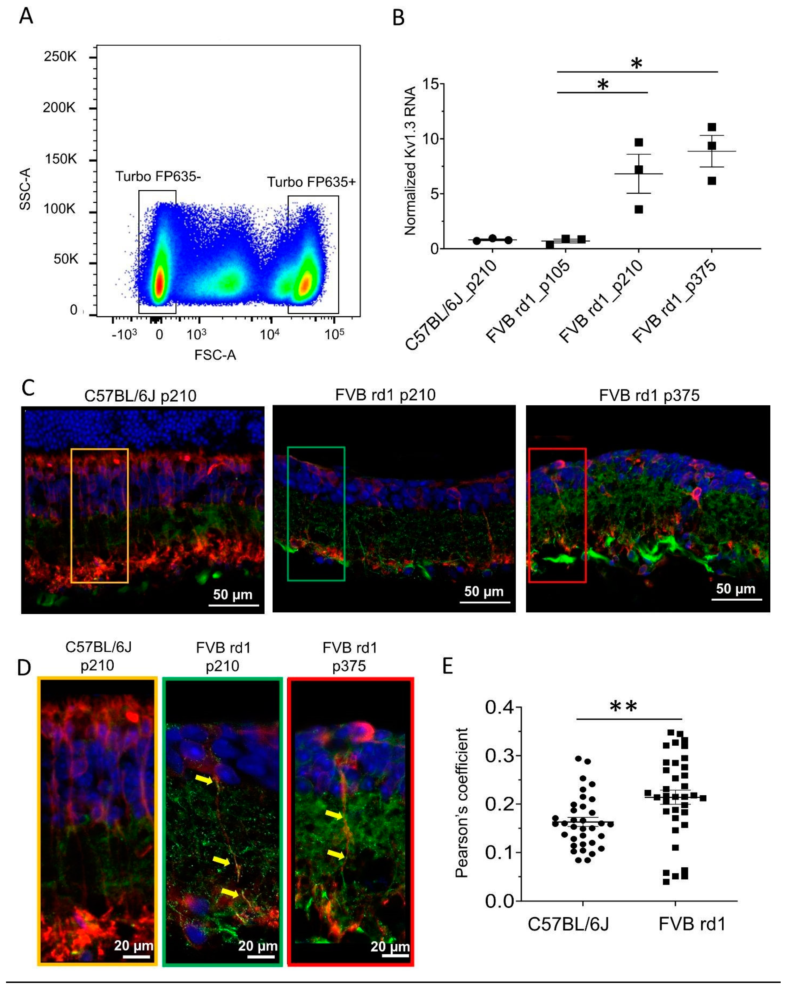 Preprints 73366 g001