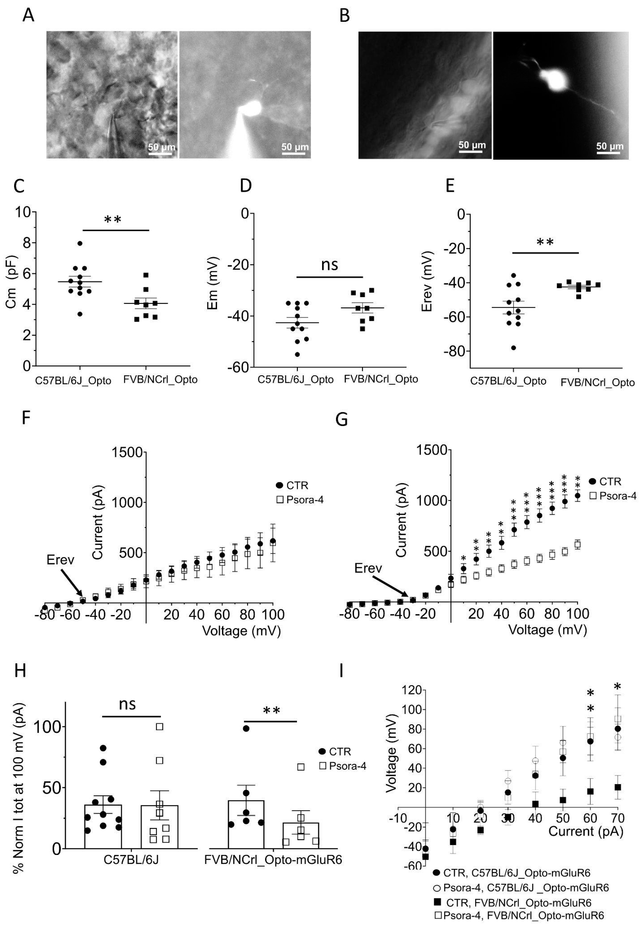 Preprints 73366 g003