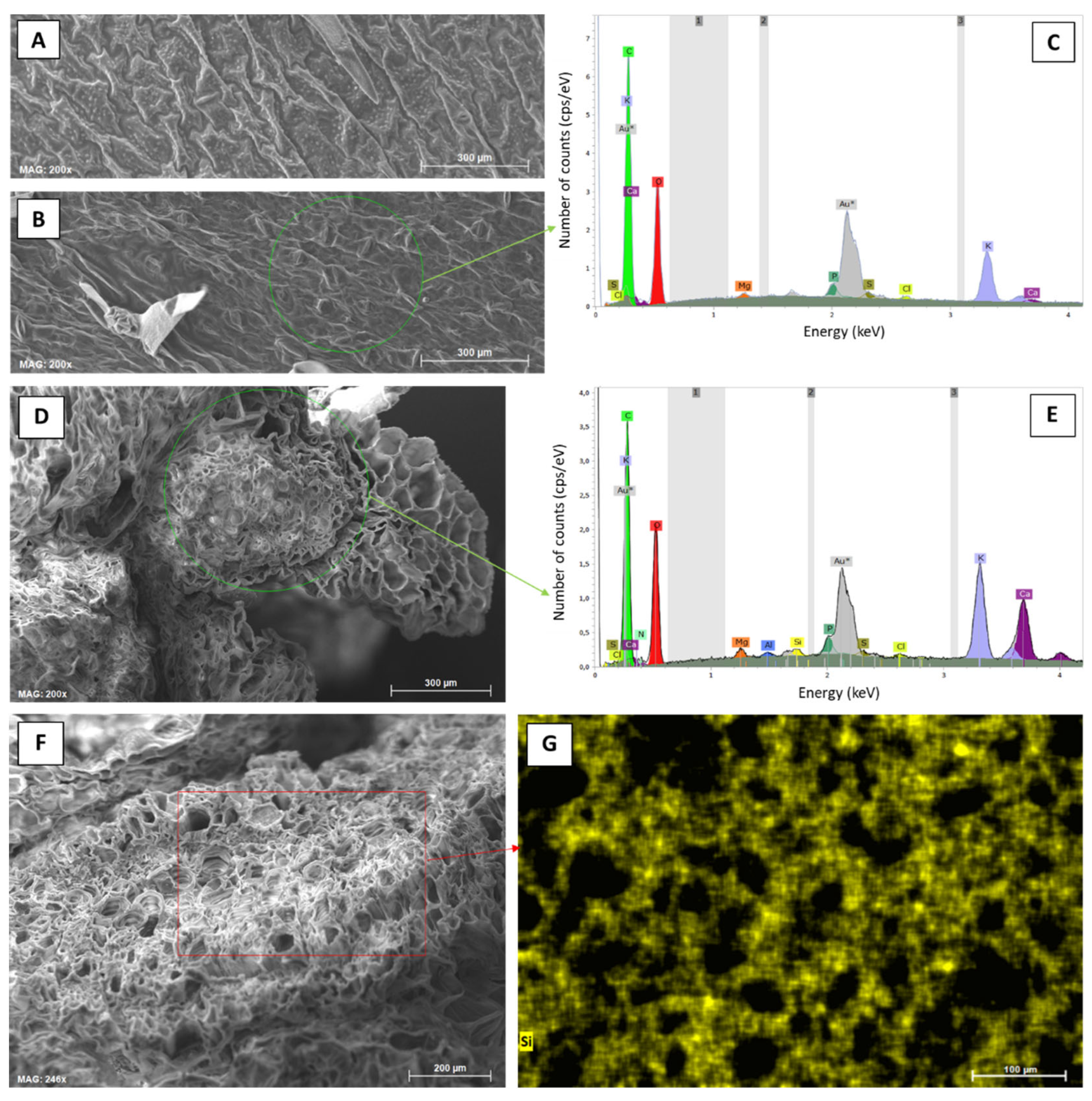 Preprints 118568 g005