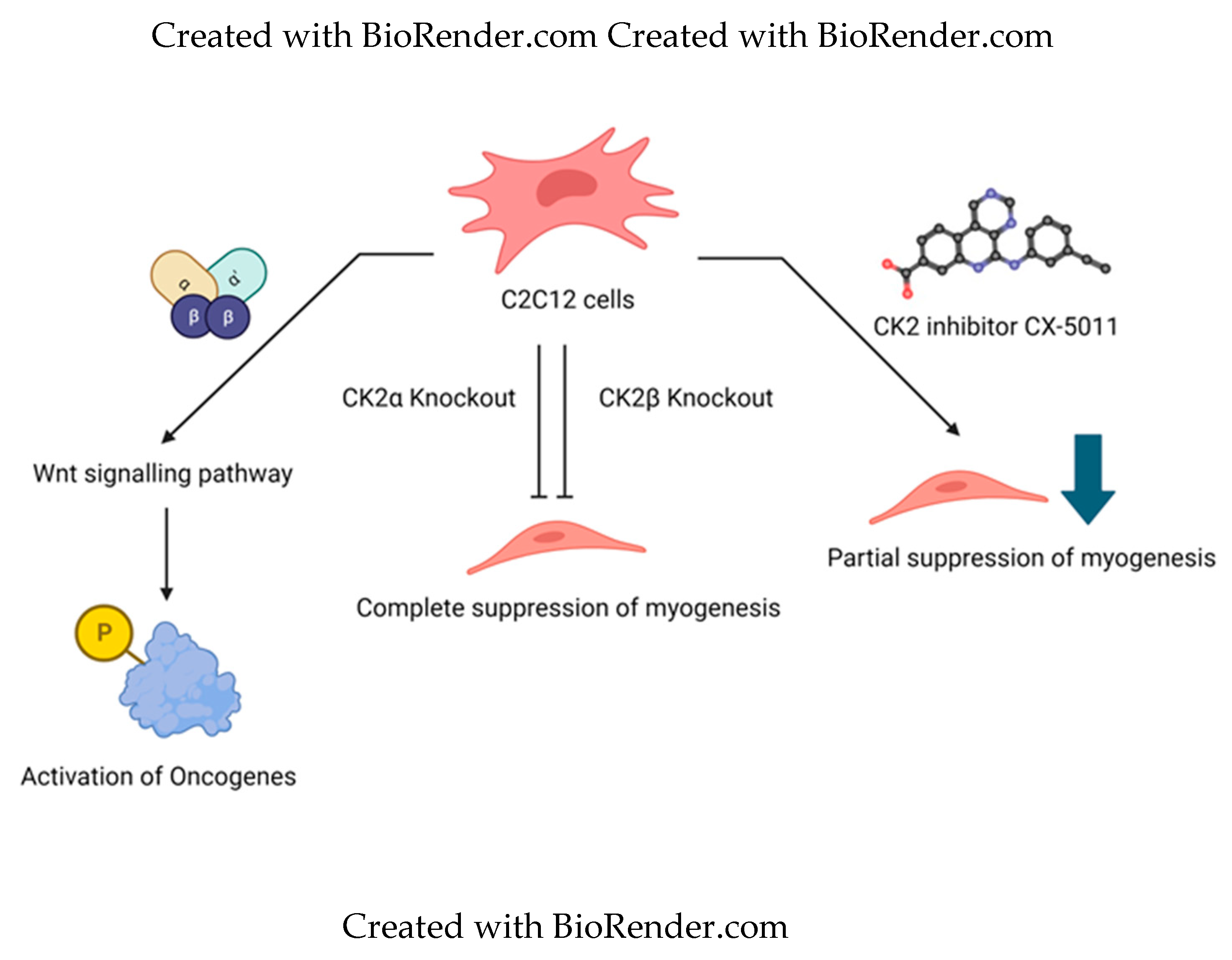 Preprints 89355 g001