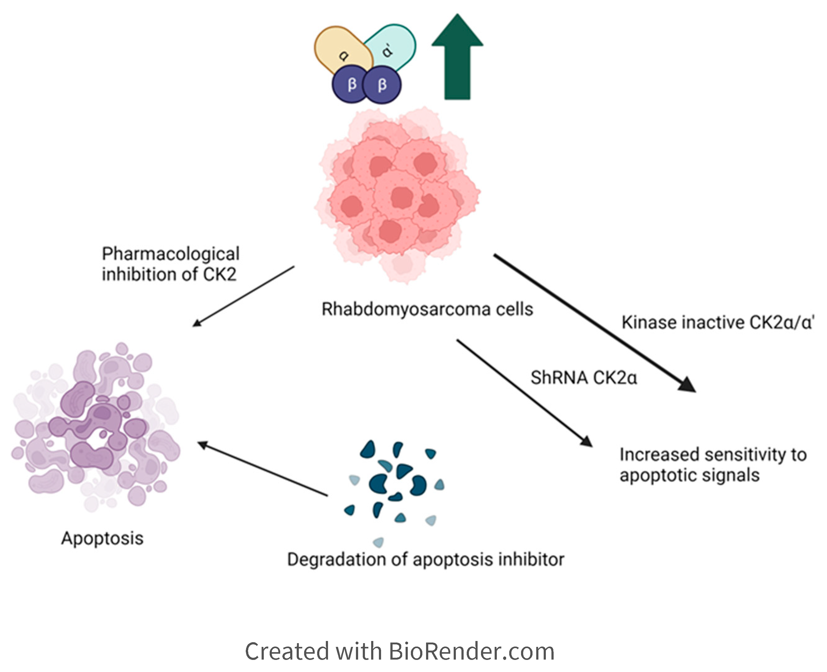 Preprints 89355 g003