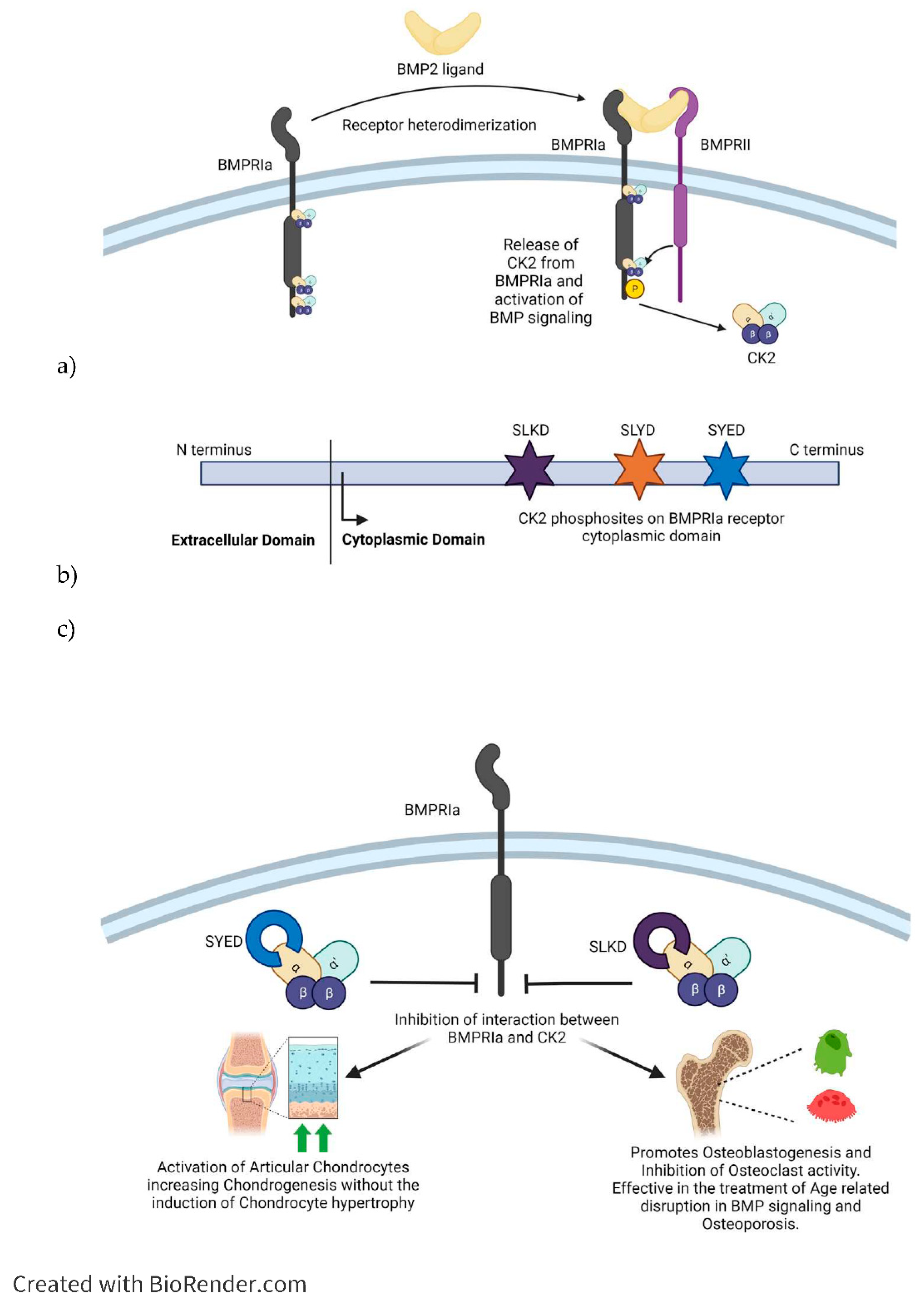 Preprints 89355 g004