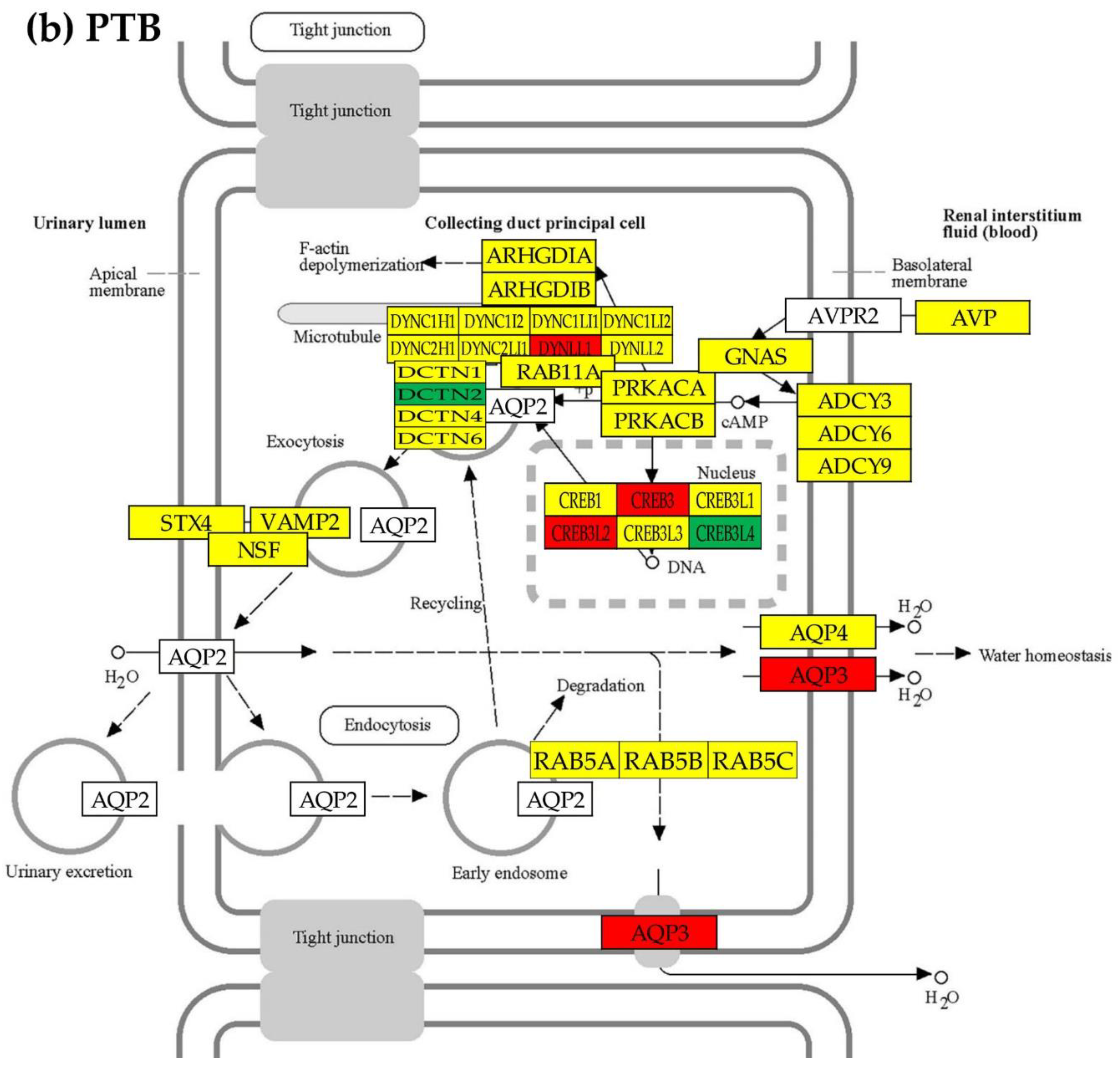 Preprints 88266 g004b