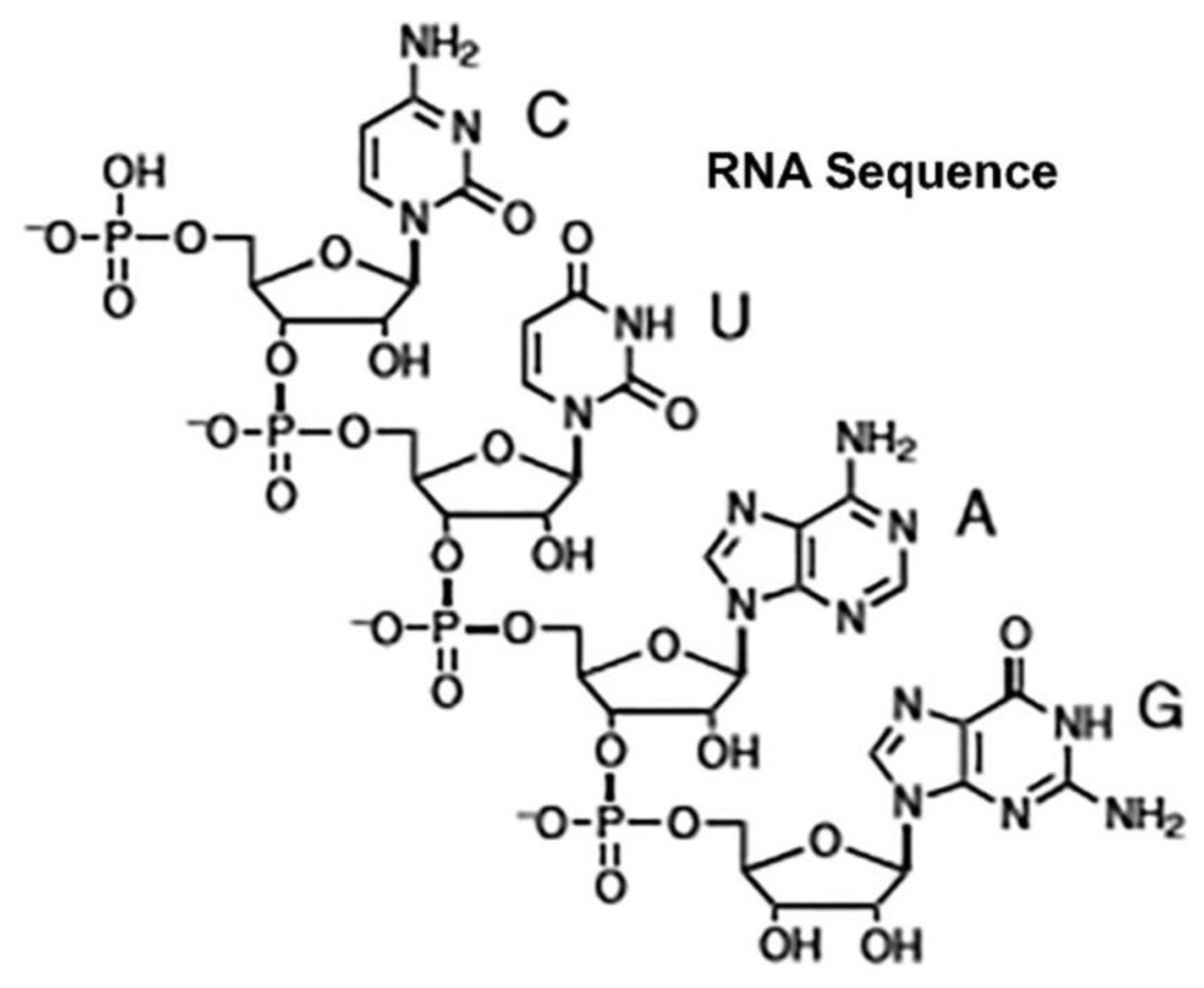 Preprints 97342 g012a