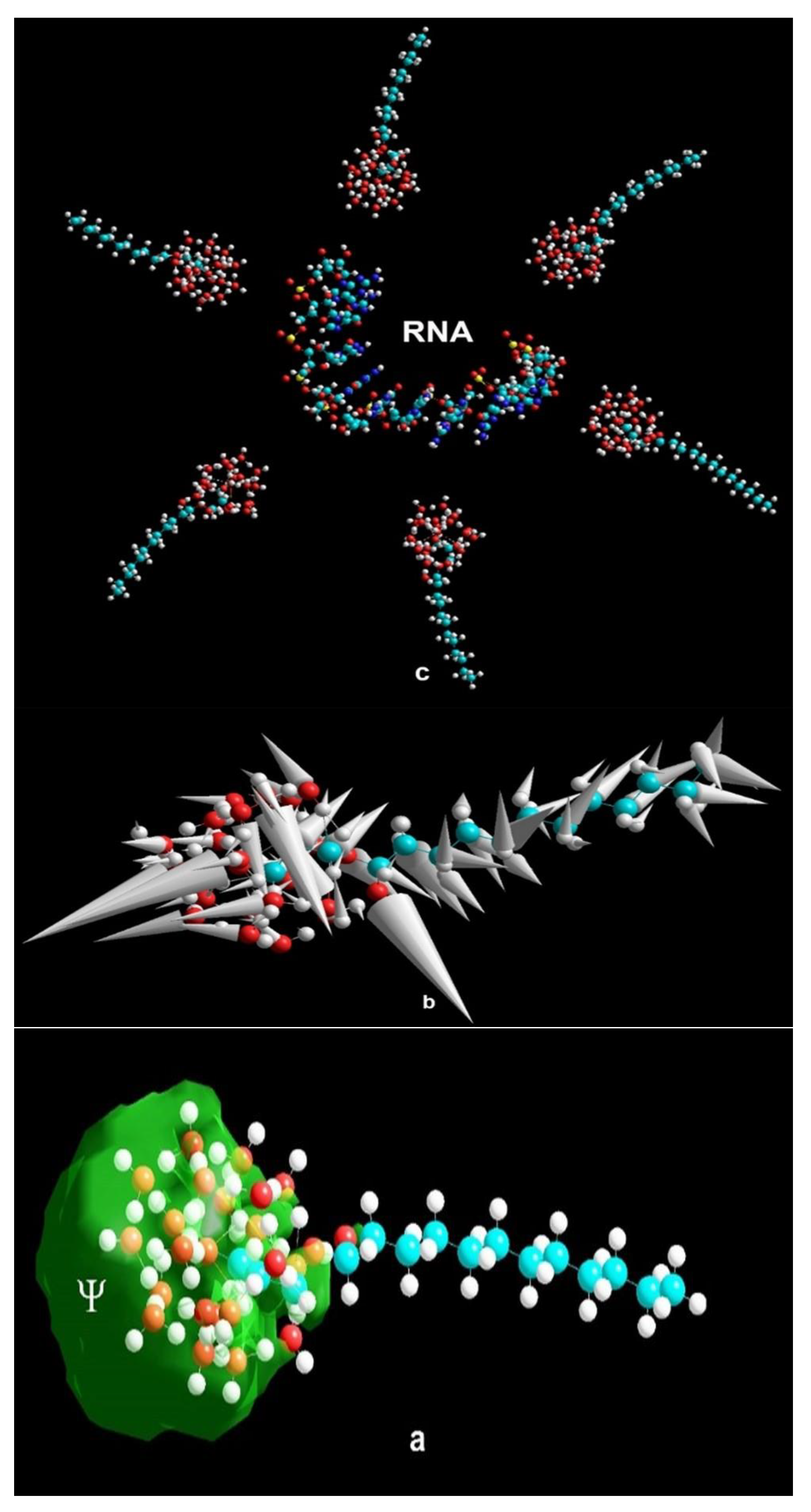 Preprints 97342 g014