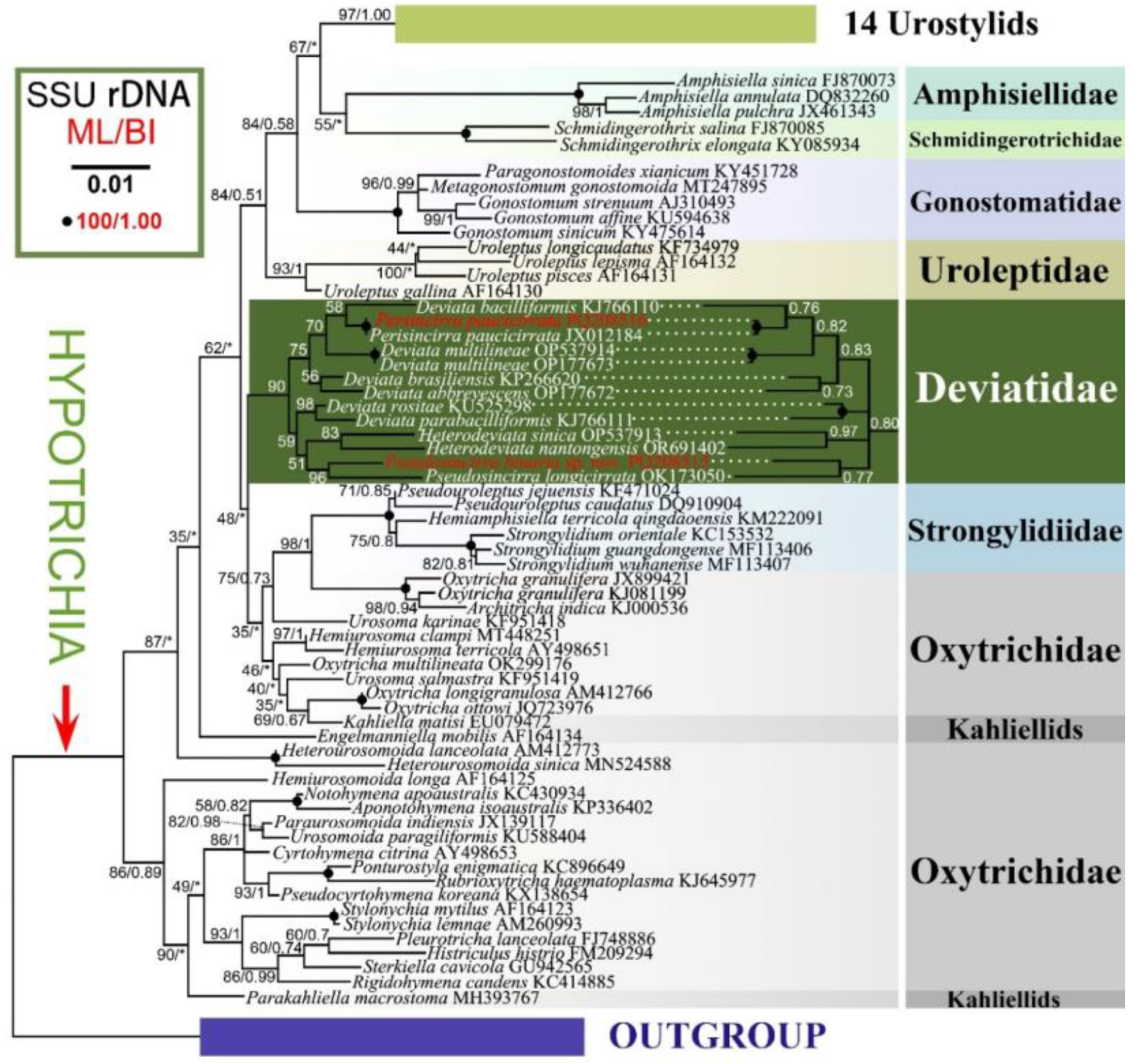 Preprints 116024 g011