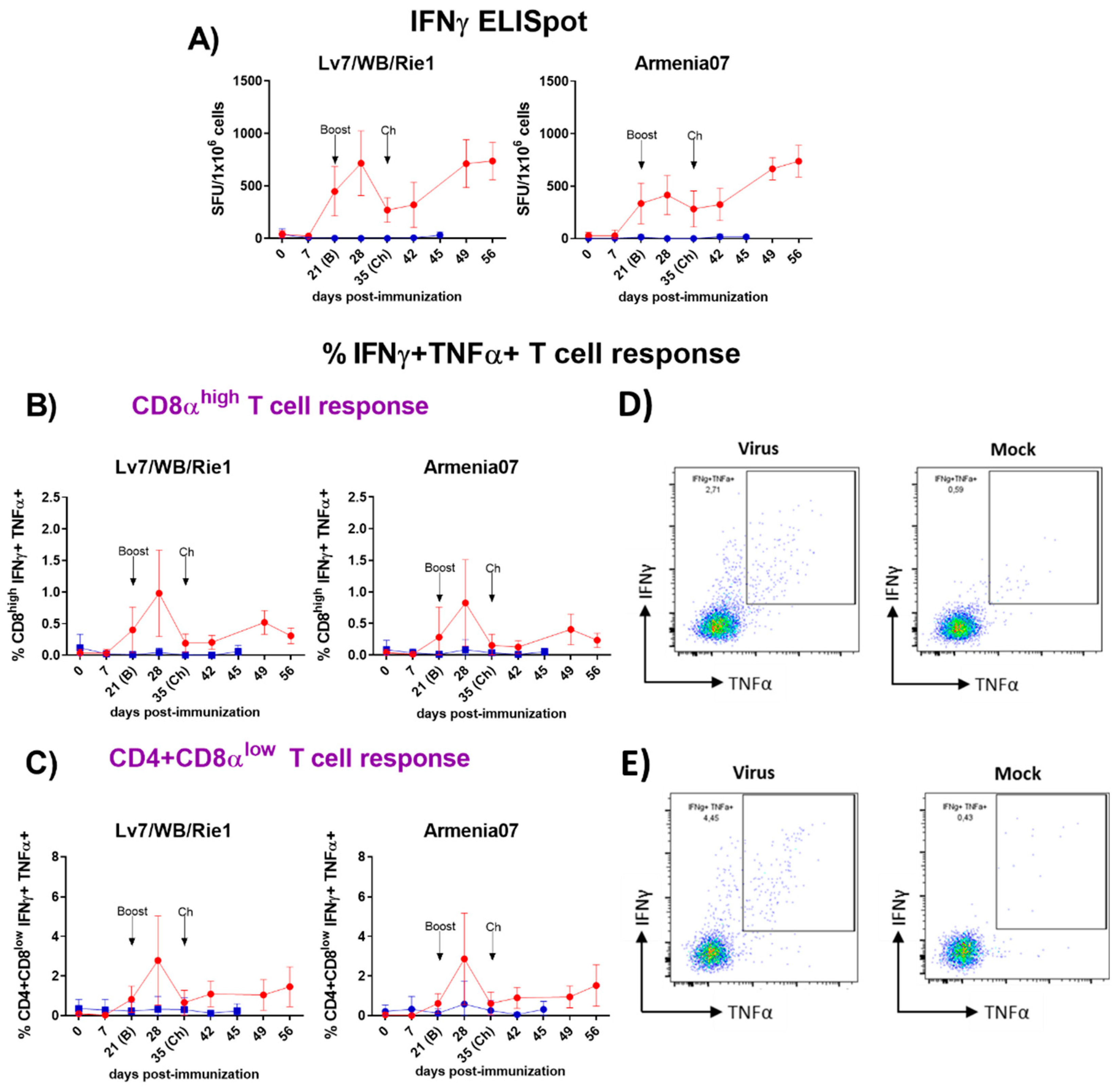 Preprints 100708 g002