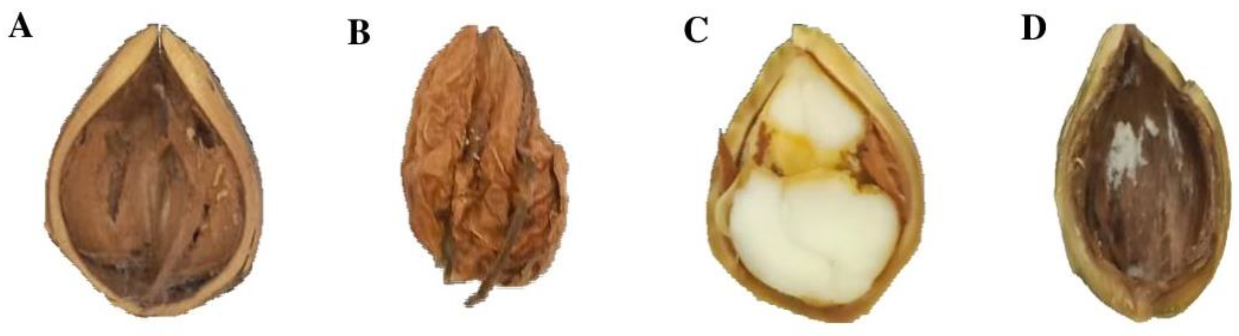 Preprints 109142 g002