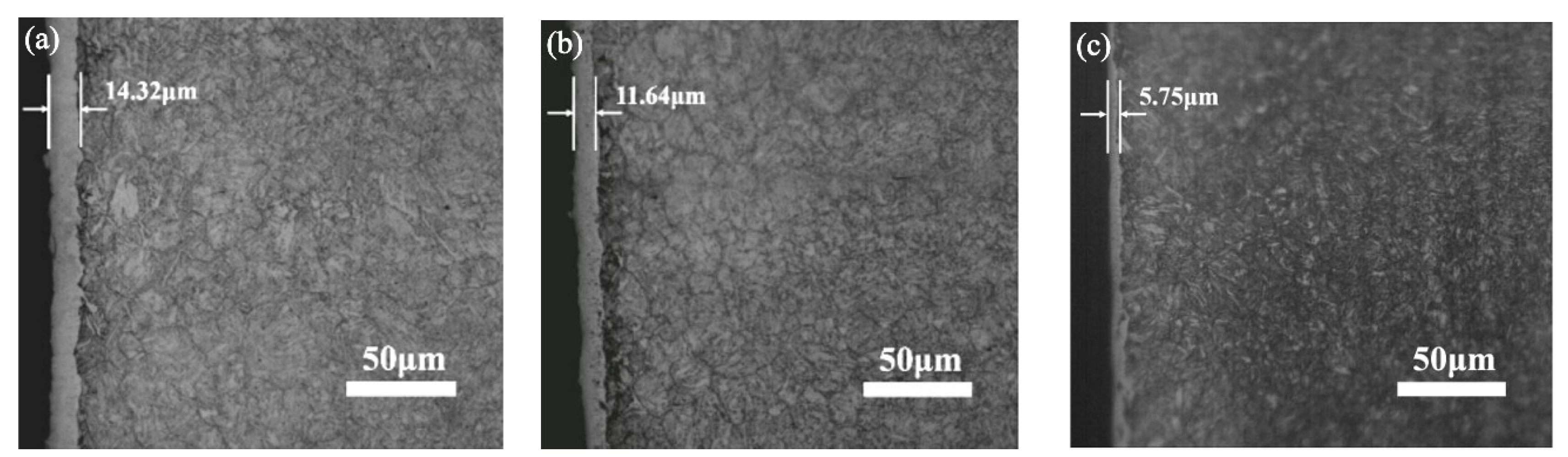 Preprints 115668 g001