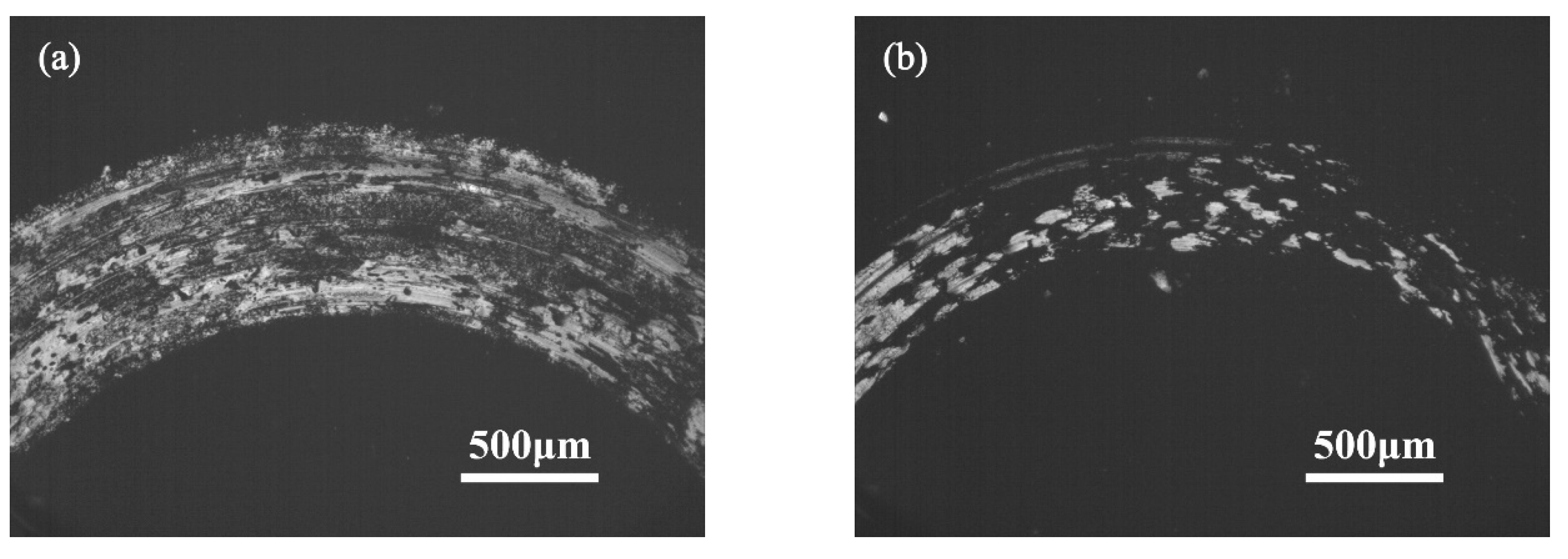 Preprints 115668 g007